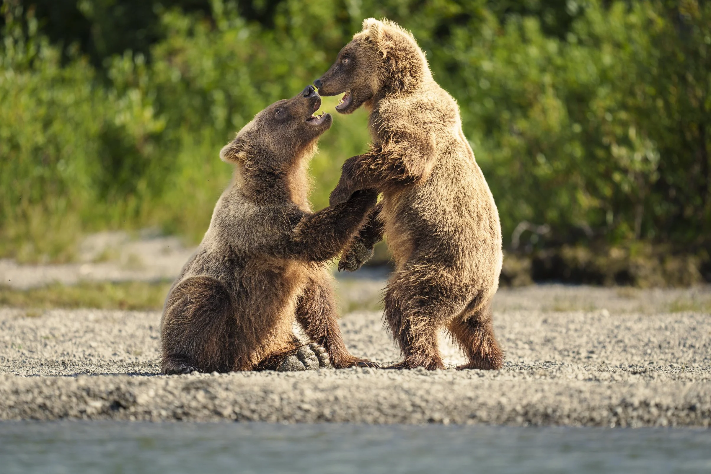 How to Respond to Copyright Infringement