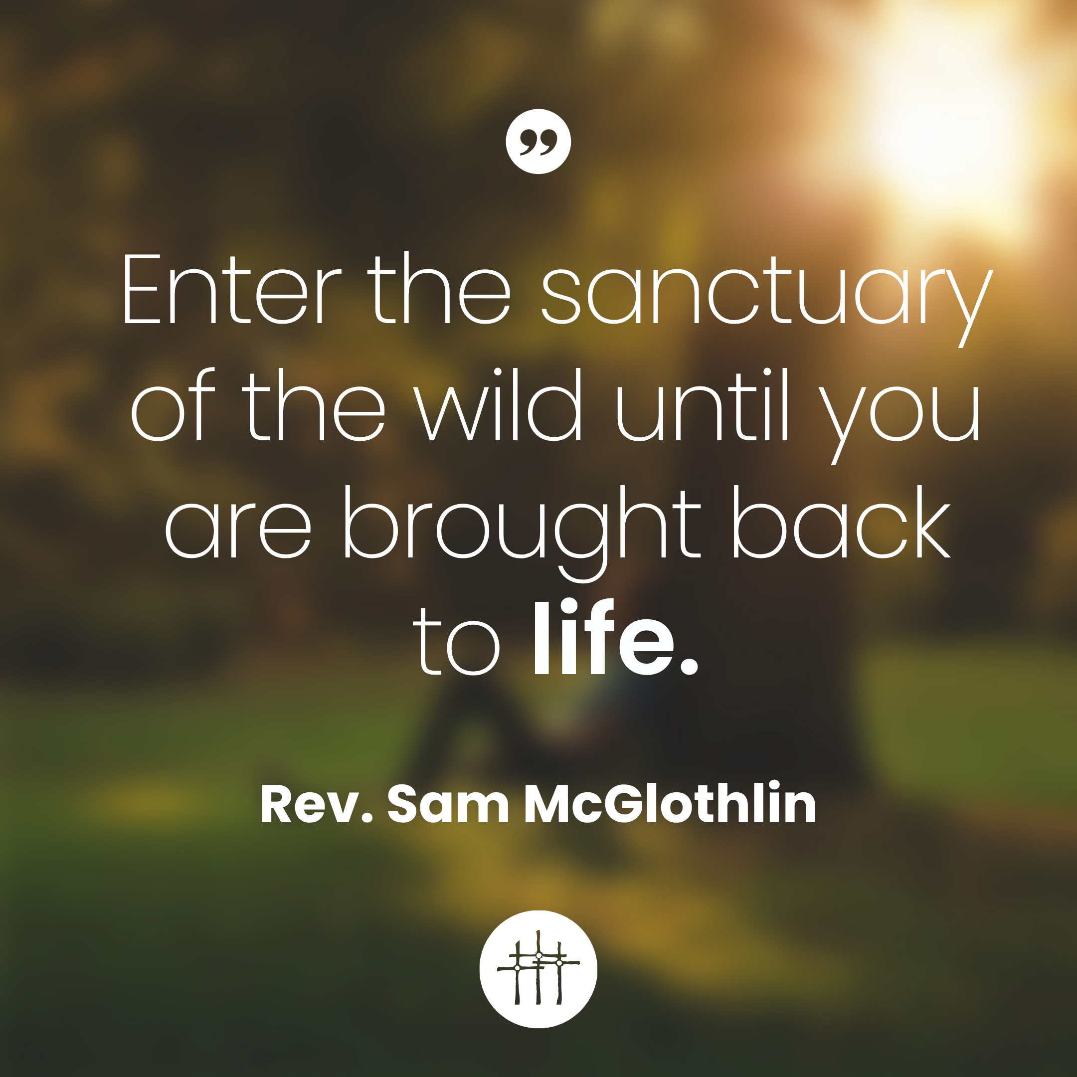The Sanctuary of the Wild