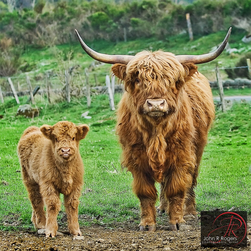 2025 Clan Membership