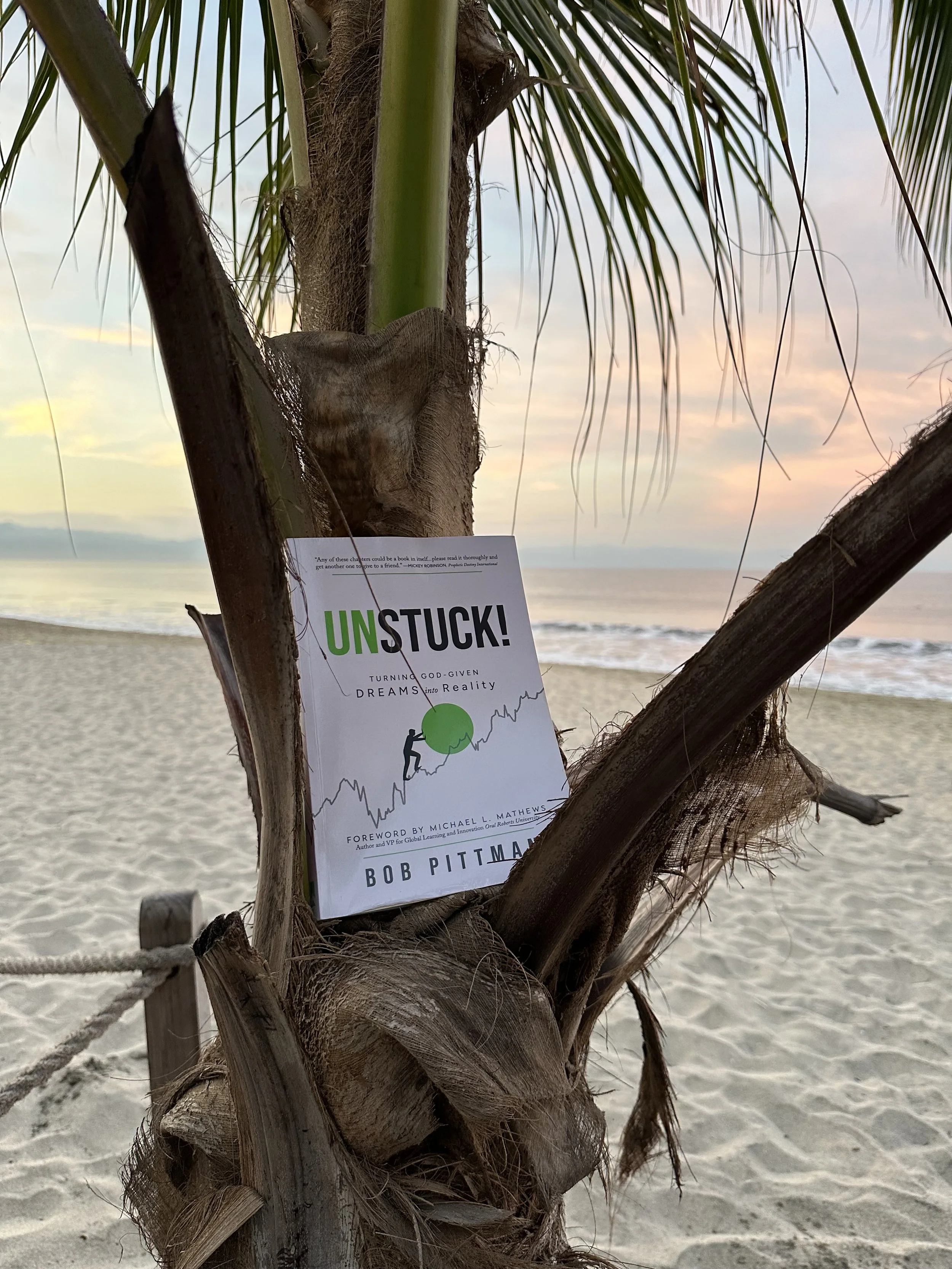 unstuck palm tree.jpg