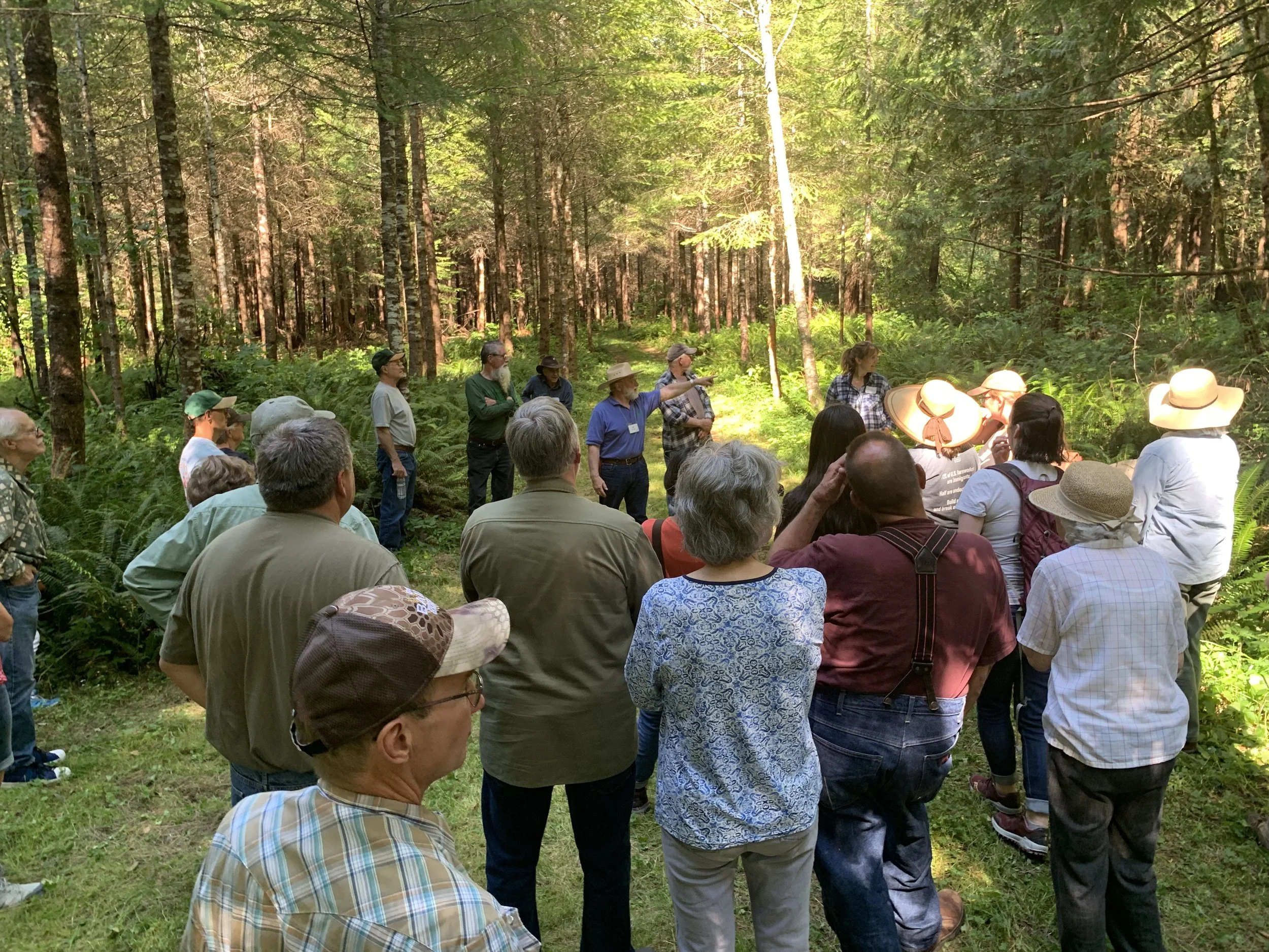 Guttridge Bros CCFFA 2019.JPG