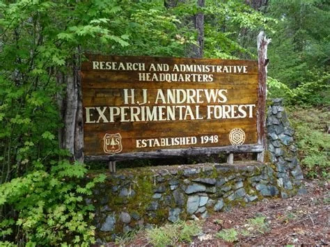 Volunteer Trail Work Day at HJ Andrews
