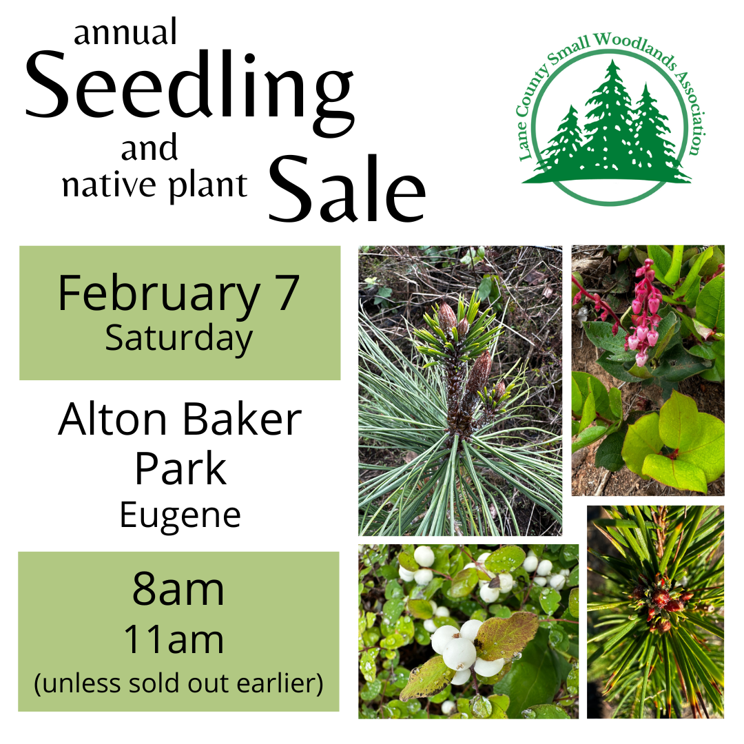 Lane County Seedling & Native Plant Sale