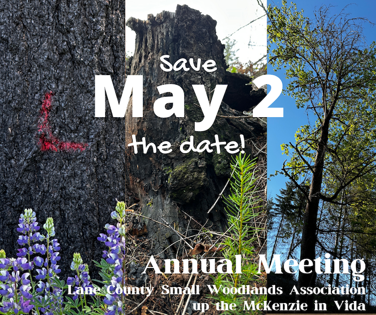 Lane Annual Meeting: SAVE THE DATE!
