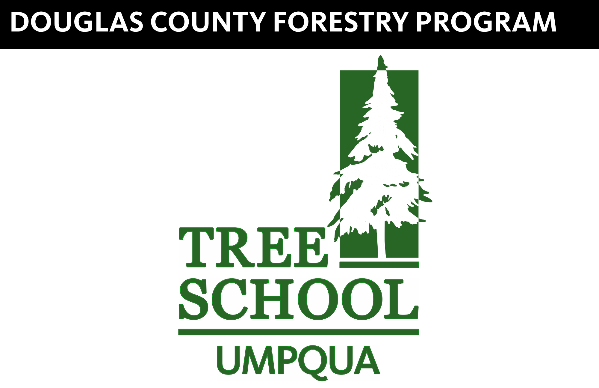 Tree School Umpqua