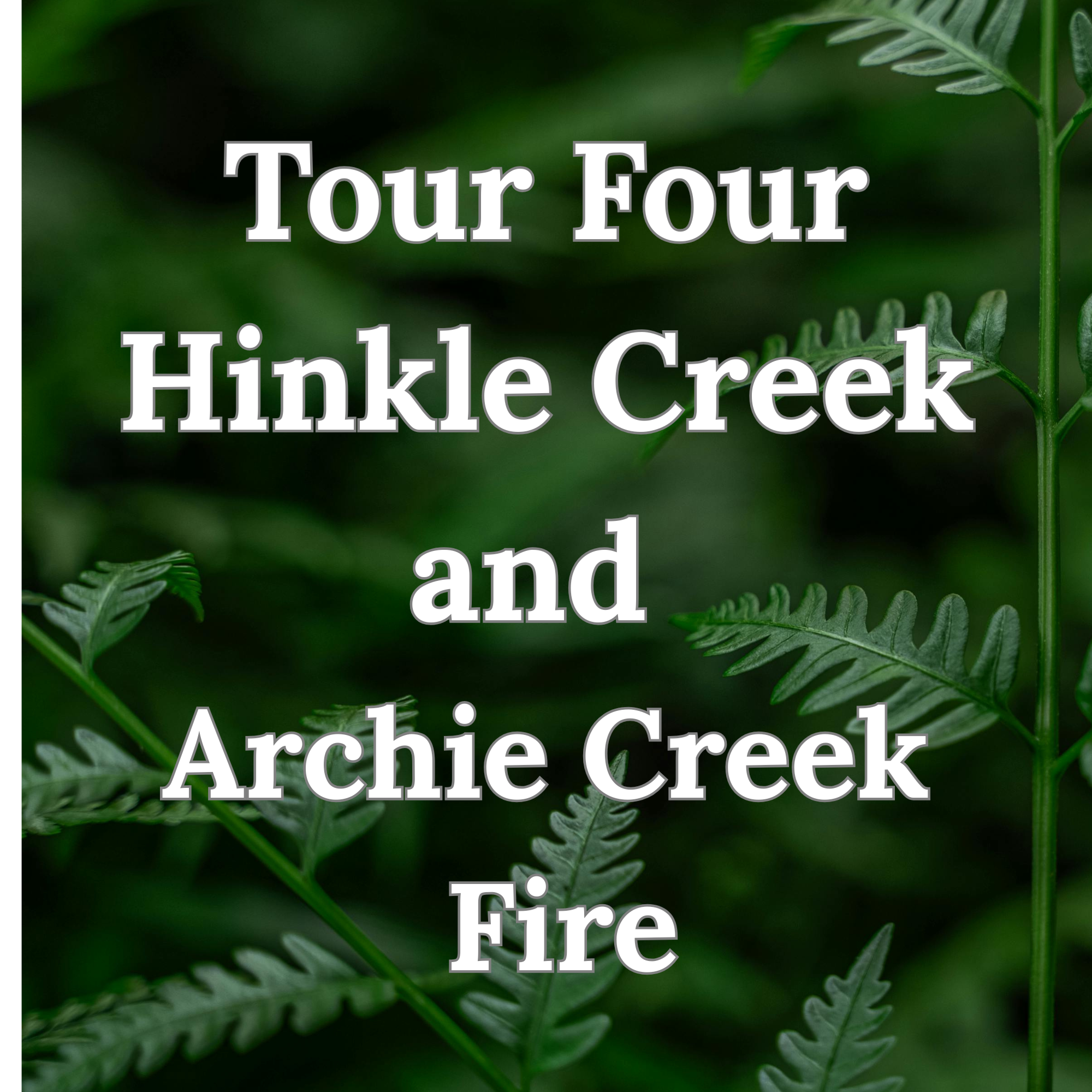 Tour 4 - Thursday - 1PM - Archie Creek Fire/ Fish Response Study