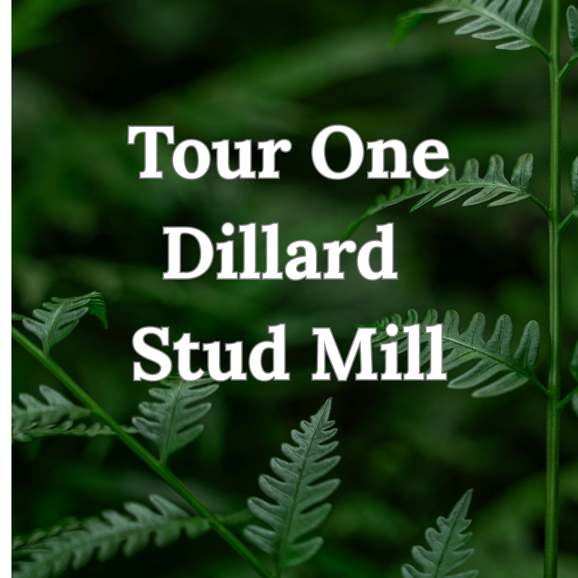 Tour 1 - Thursday 1PM - Roseburg Forest Products - Dillard Saw Mill