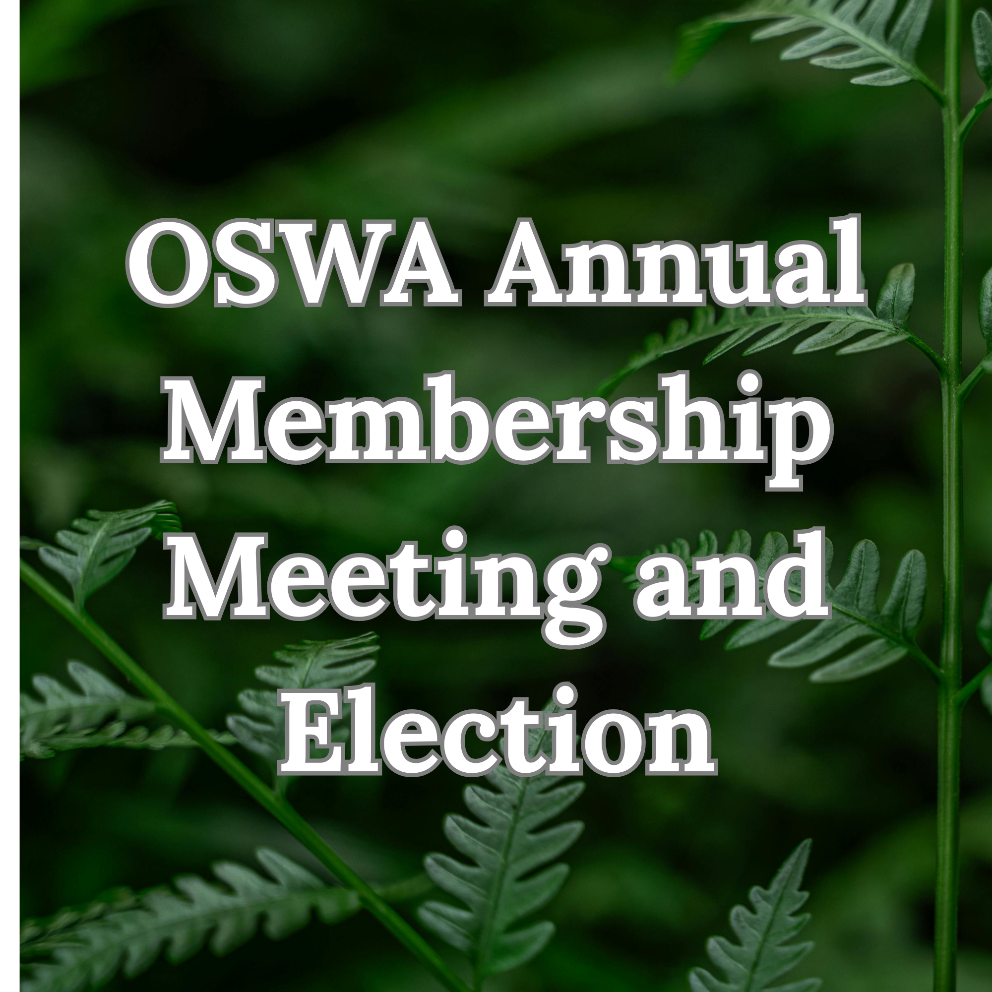 OSWA Annual Membership Meeting and Election.png