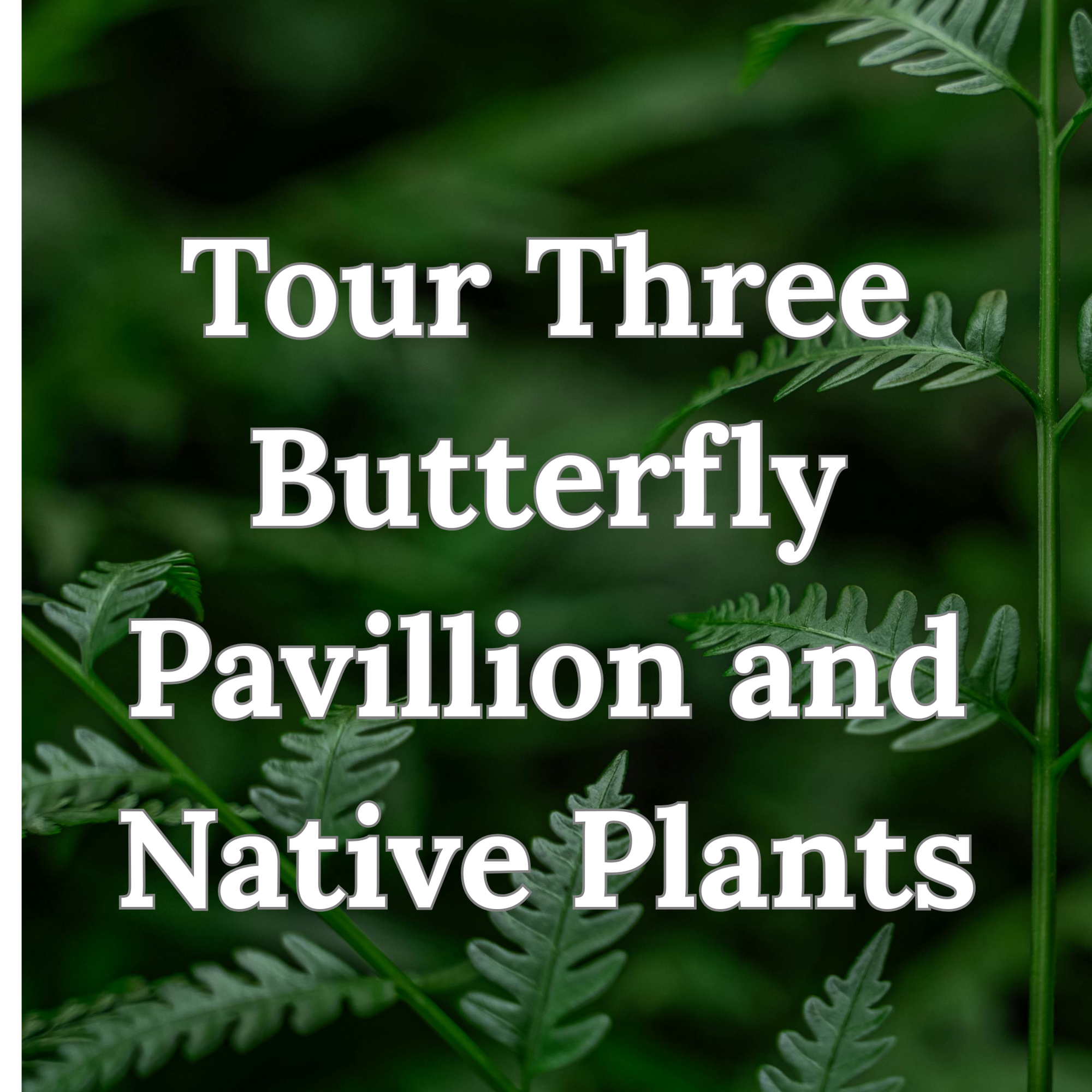 Tour 3 - Thursday - 1PM - Elkton Community Education Center