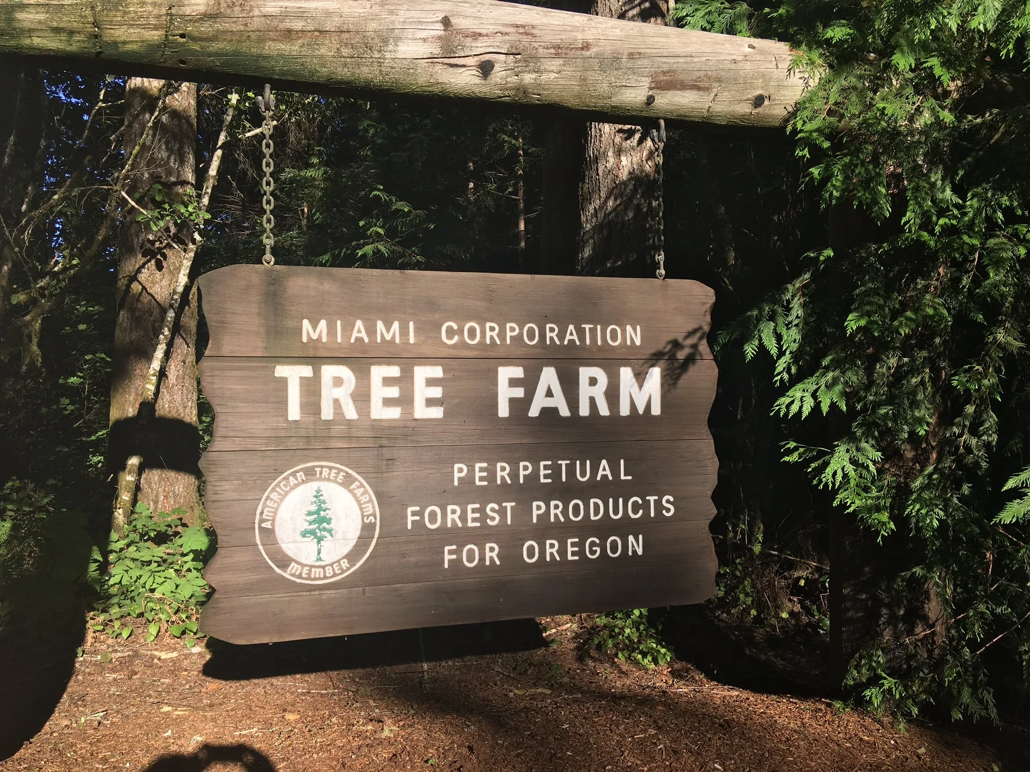 Miami Corp.JPG