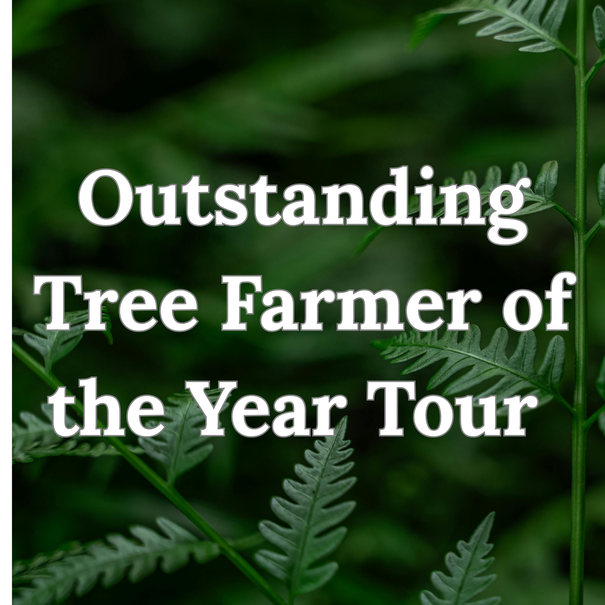 Outstanding Tree Farmer of the Year Tour - Saturday, June 27