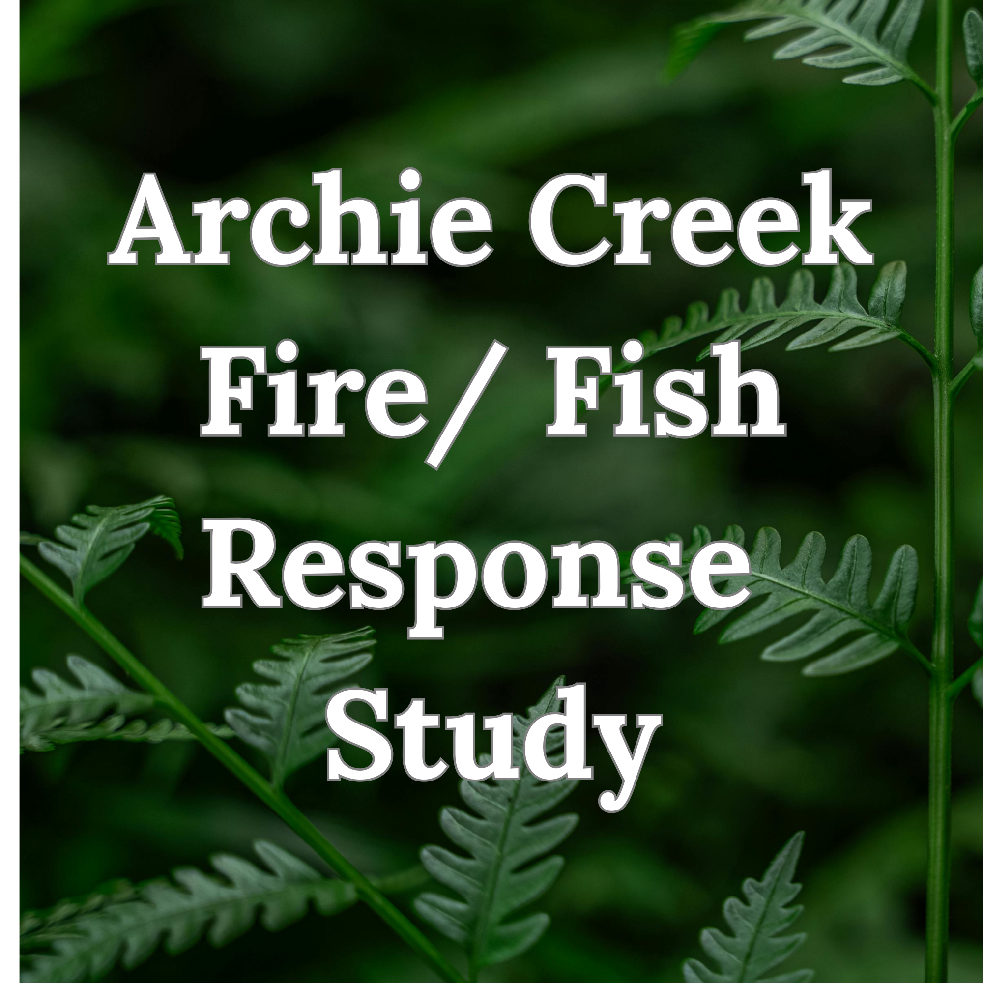 Tour 4 - Thursday - 1PM - Archie Creek Fire/ Fish Response Study