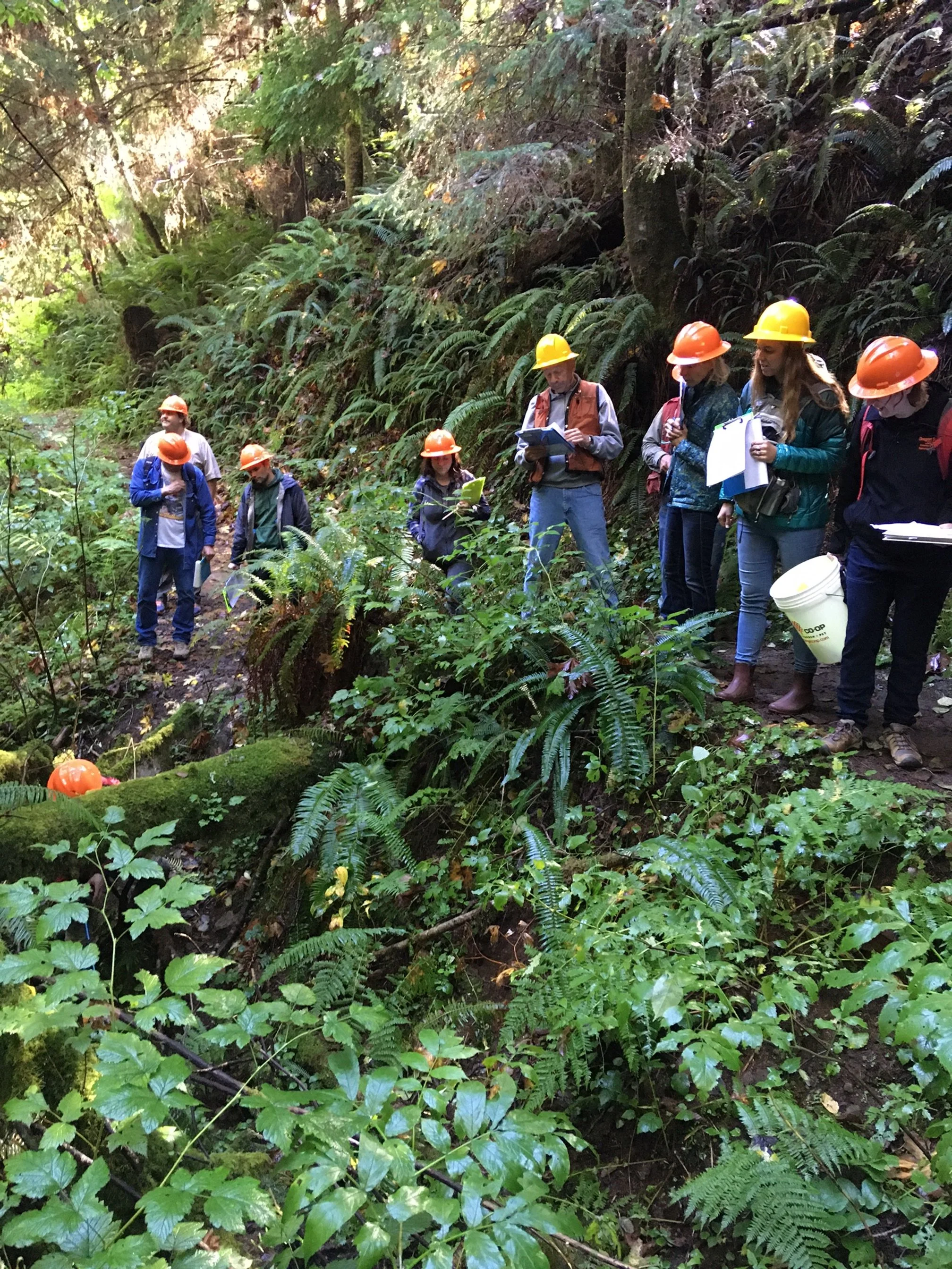 PFA Stream Workshop by Tami Jo.JPG