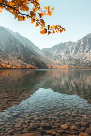 Courtney Rae Photography