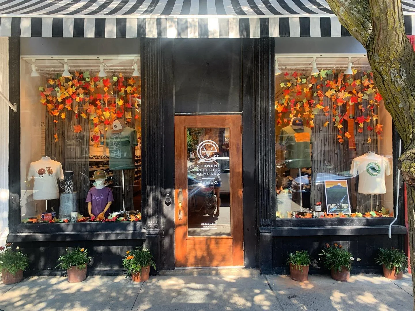 It’s fall y’all! This is the final iteration of our 3 season windows for @vteclecticco and we’re so obsessed! More detail shots to follow 🍁🍁🍁
.
.
.
#windowdisplay 
#handmade 
#fallwindowdisplay 
#retaildesign
#woodstockvt 
#vermo