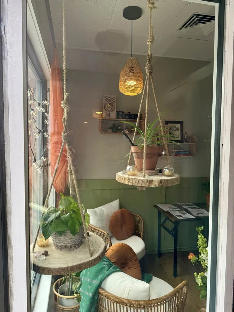 left side window view of hanging plants