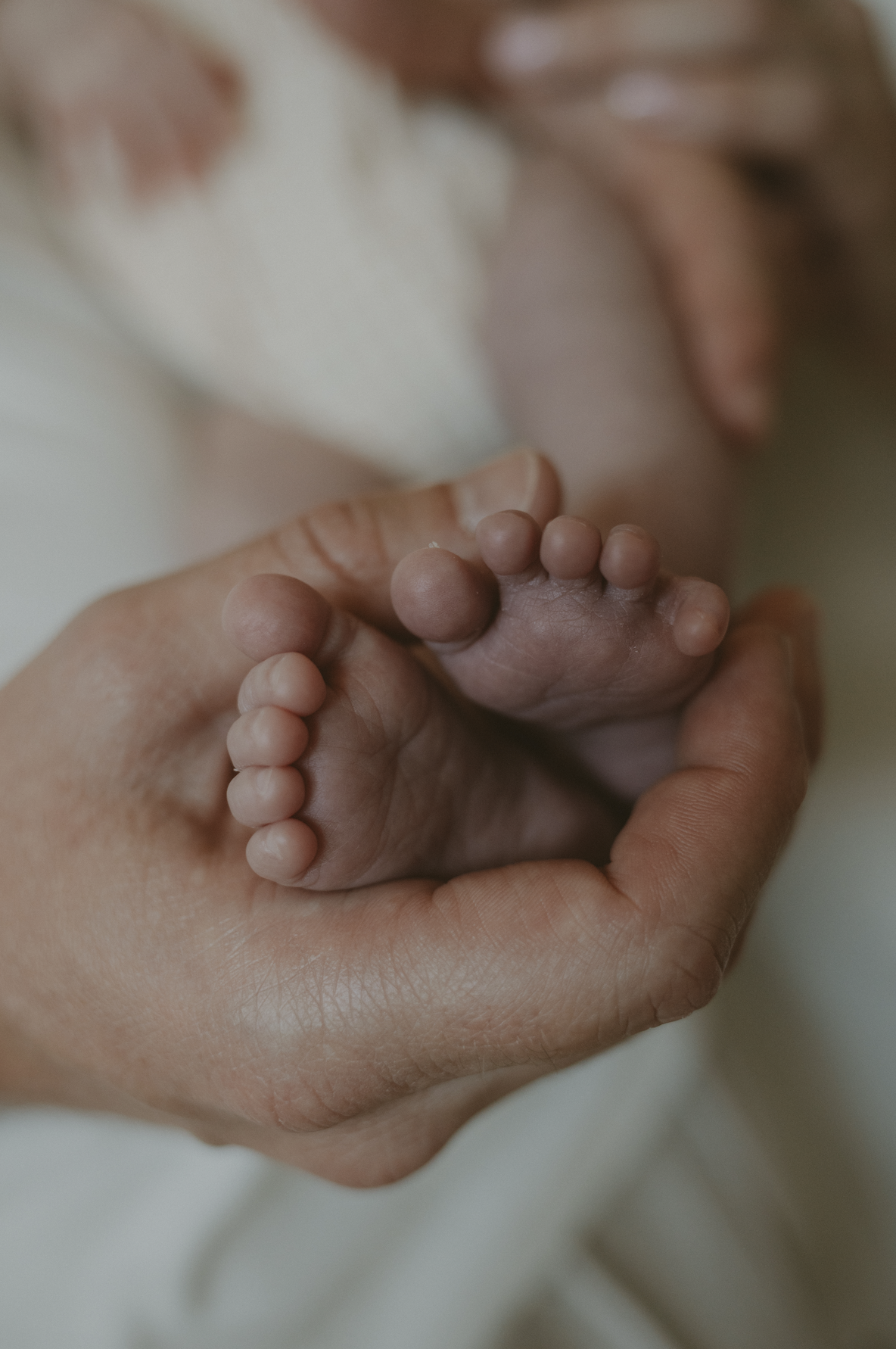 Papa houdt de kleine voetjes van zijn dochtertje in zijn handen.