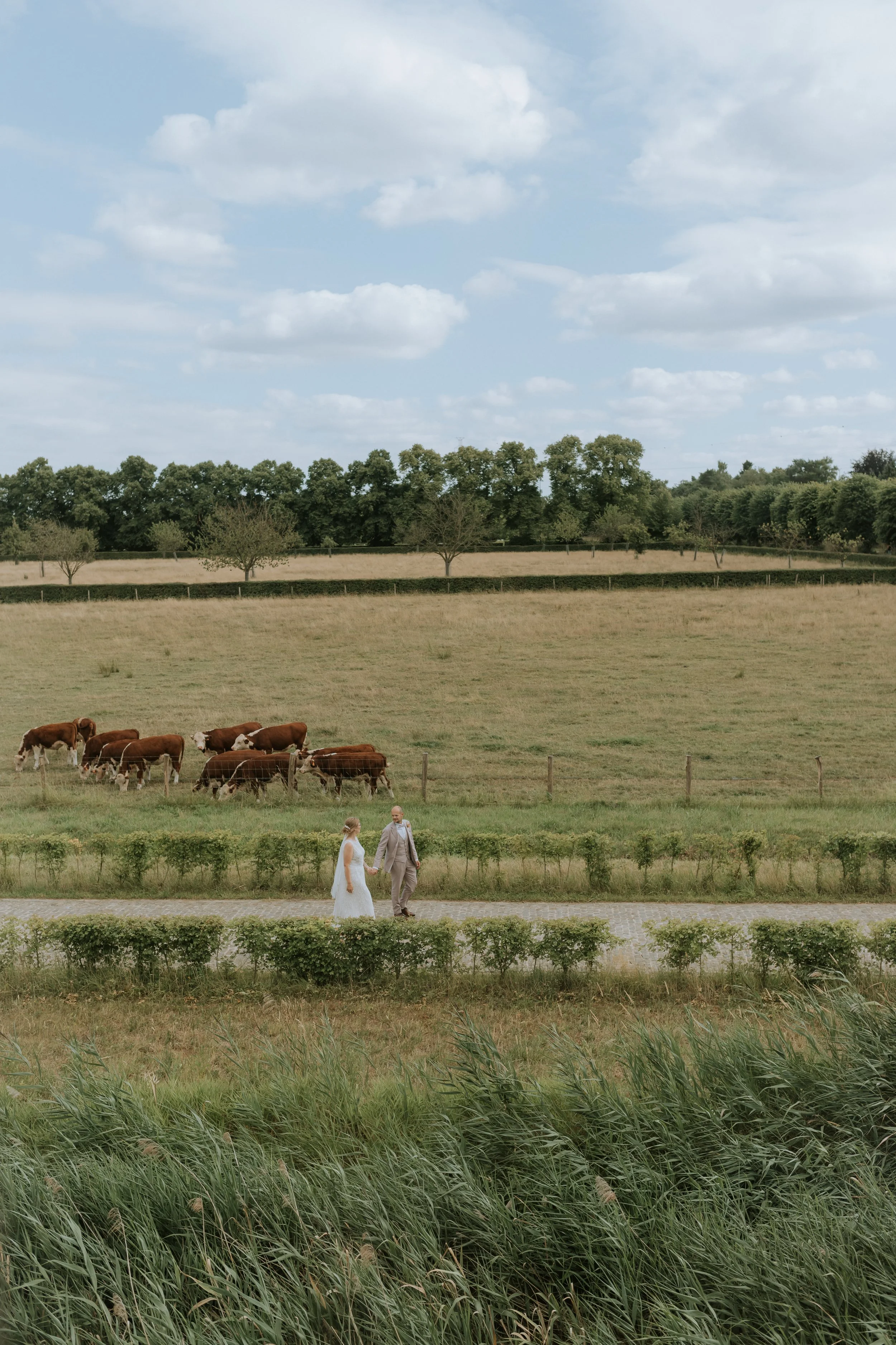 Loveshoot - Pixels Jv-96.jpg