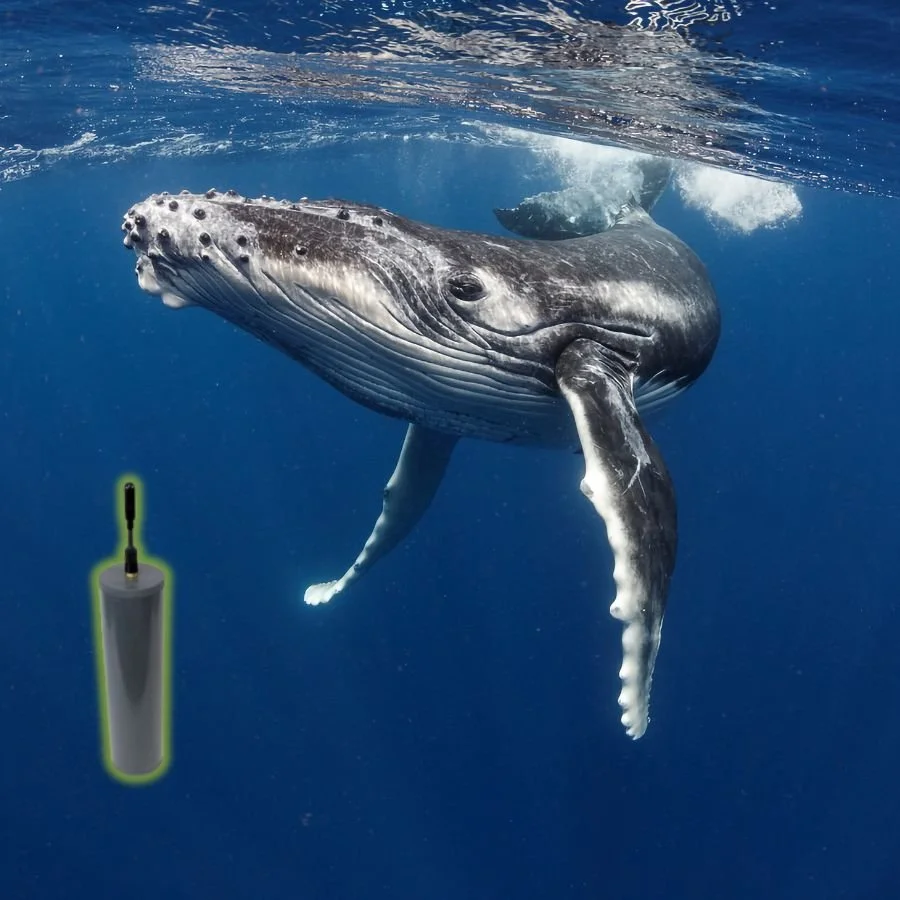 Google Ads image 3 square.jpg