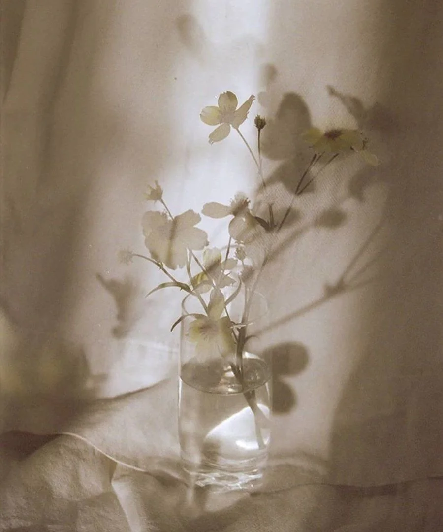 Considered, collected, compiled &mdash; a curated collection of moods and inspirations lately.

Source: @pinterest