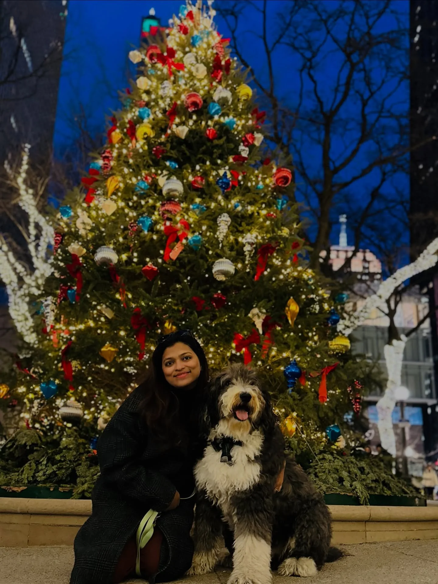 MERRY CHRISTMAS AND SEASON&rsquo;S GREETINGS🎄✨

This time of year always reminds me why I started cooking and baking in the first place &mdash; to create special memories around food. Whether you&rsquo;ve been part of UFS since the early IG days or 