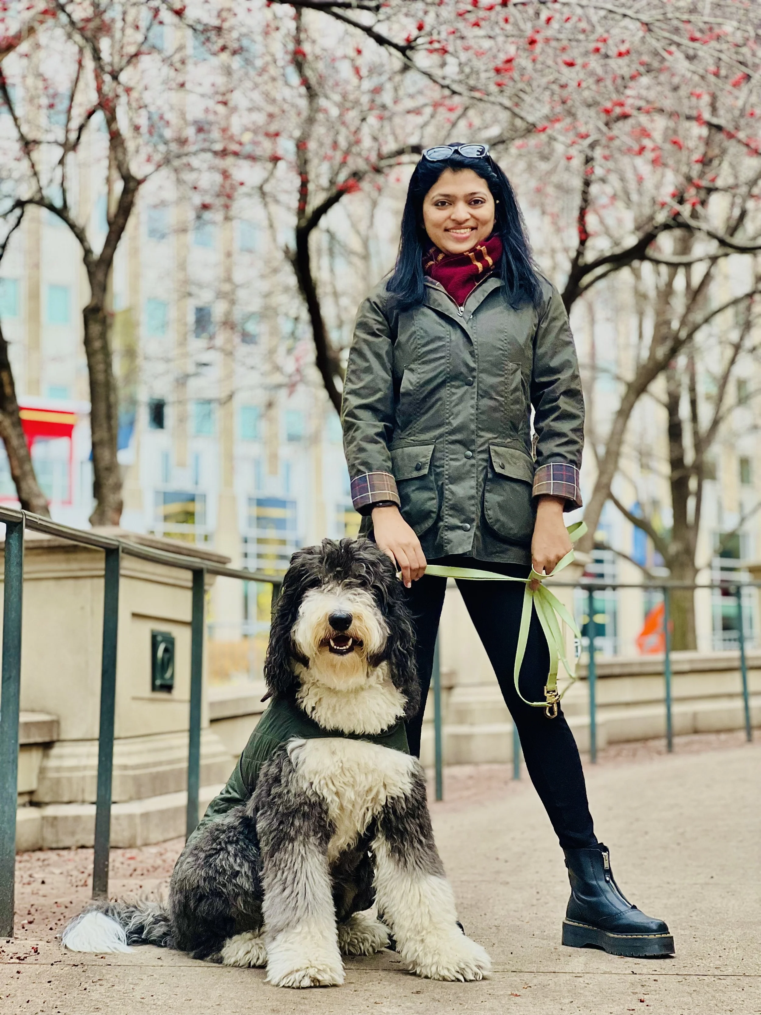 A woman in a green jacket and black boots standing outdoors with a large fluffy black and white dog on a leash in front of her. The background features trees with pink blossoms and a city building.