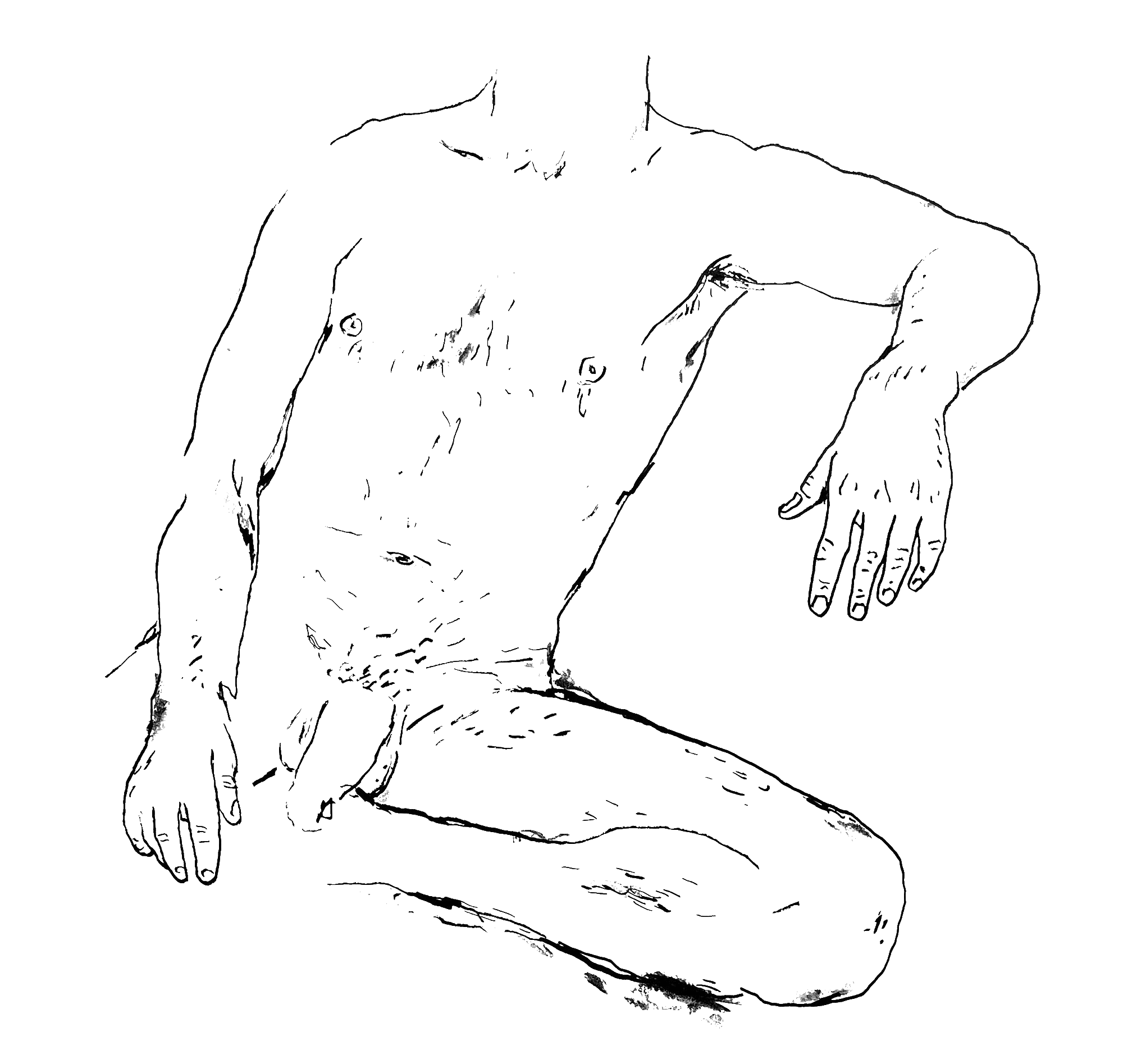 GLOWY-PARK-STATION-(ROSS)_00.gif