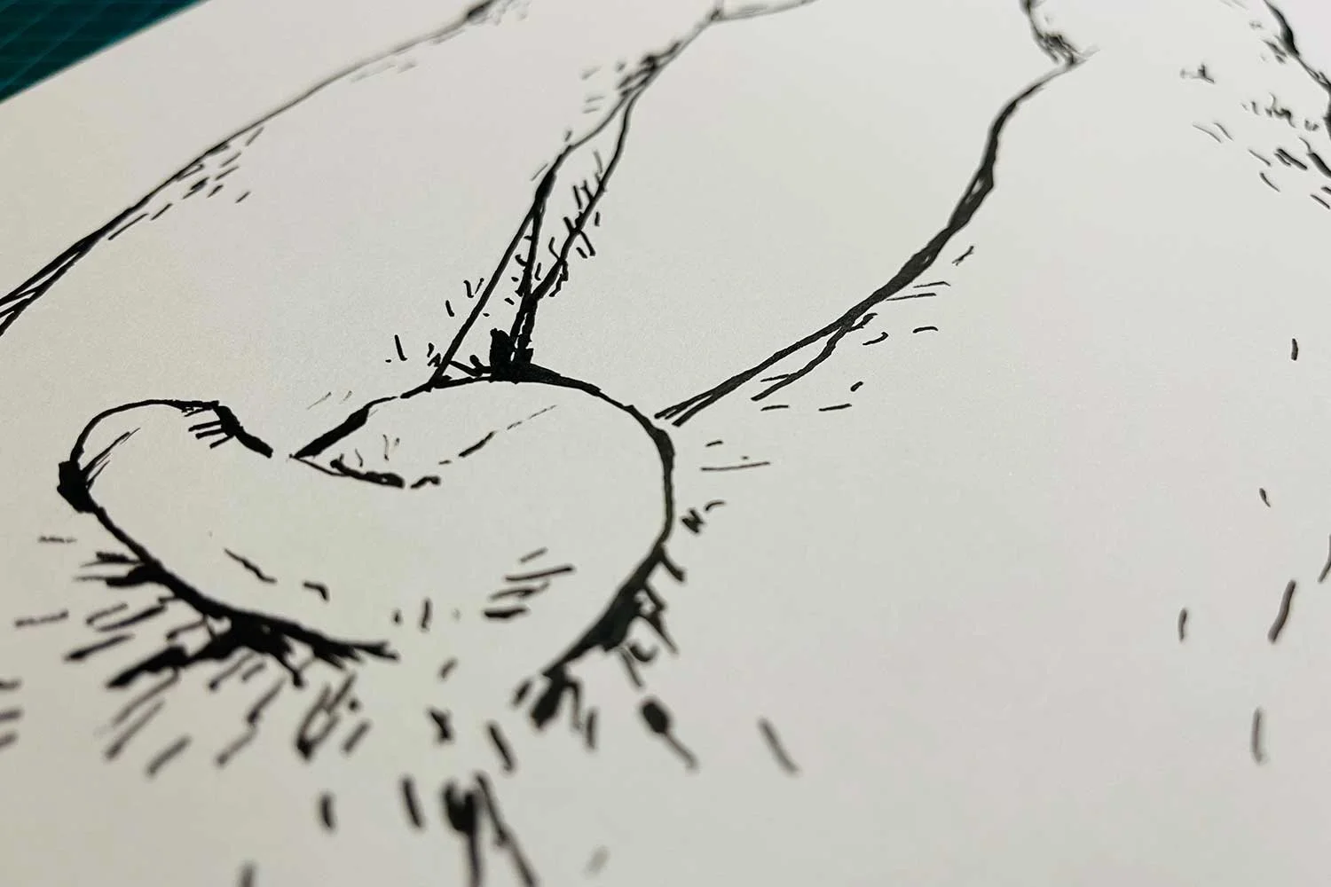 HOLISTIC-DIPTYCH-BOTTOM-(NORMAN)_06.jpg
