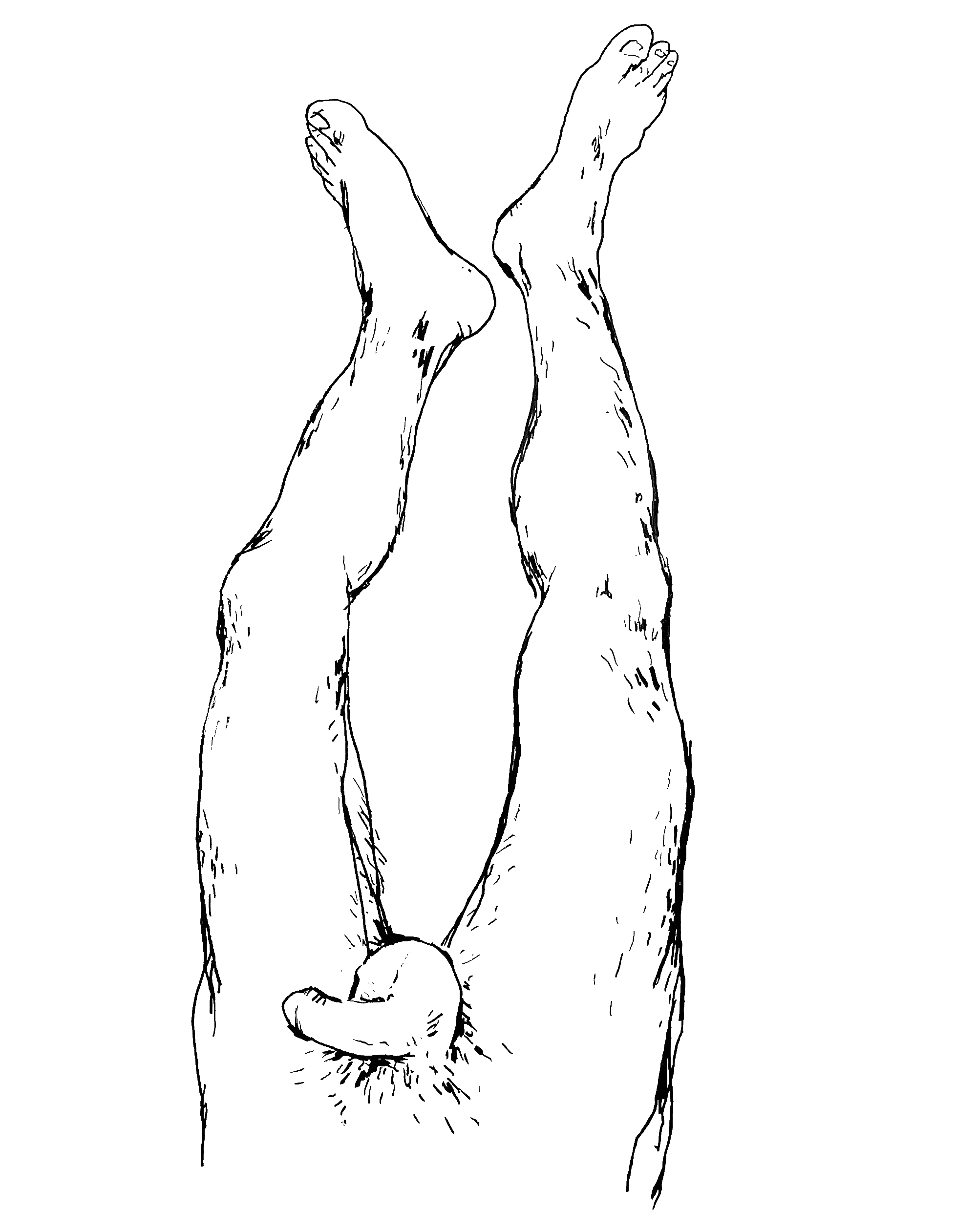 HOLISTIC-DIPTYCH-BOTTOM-(NORMAN)_00.gif