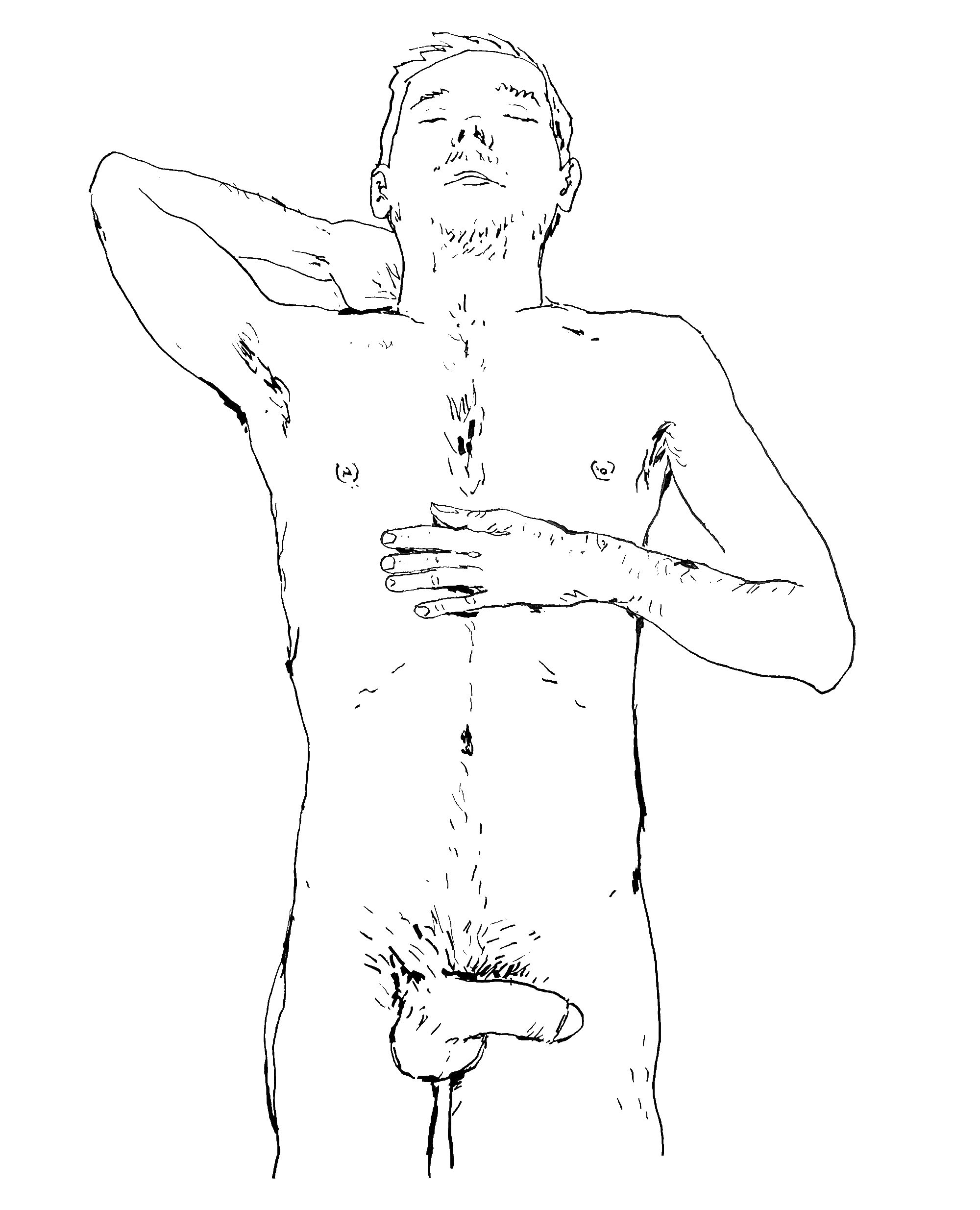 HOLISTIC-DIPTYCH-TOP-(NORMAN)_00.gif