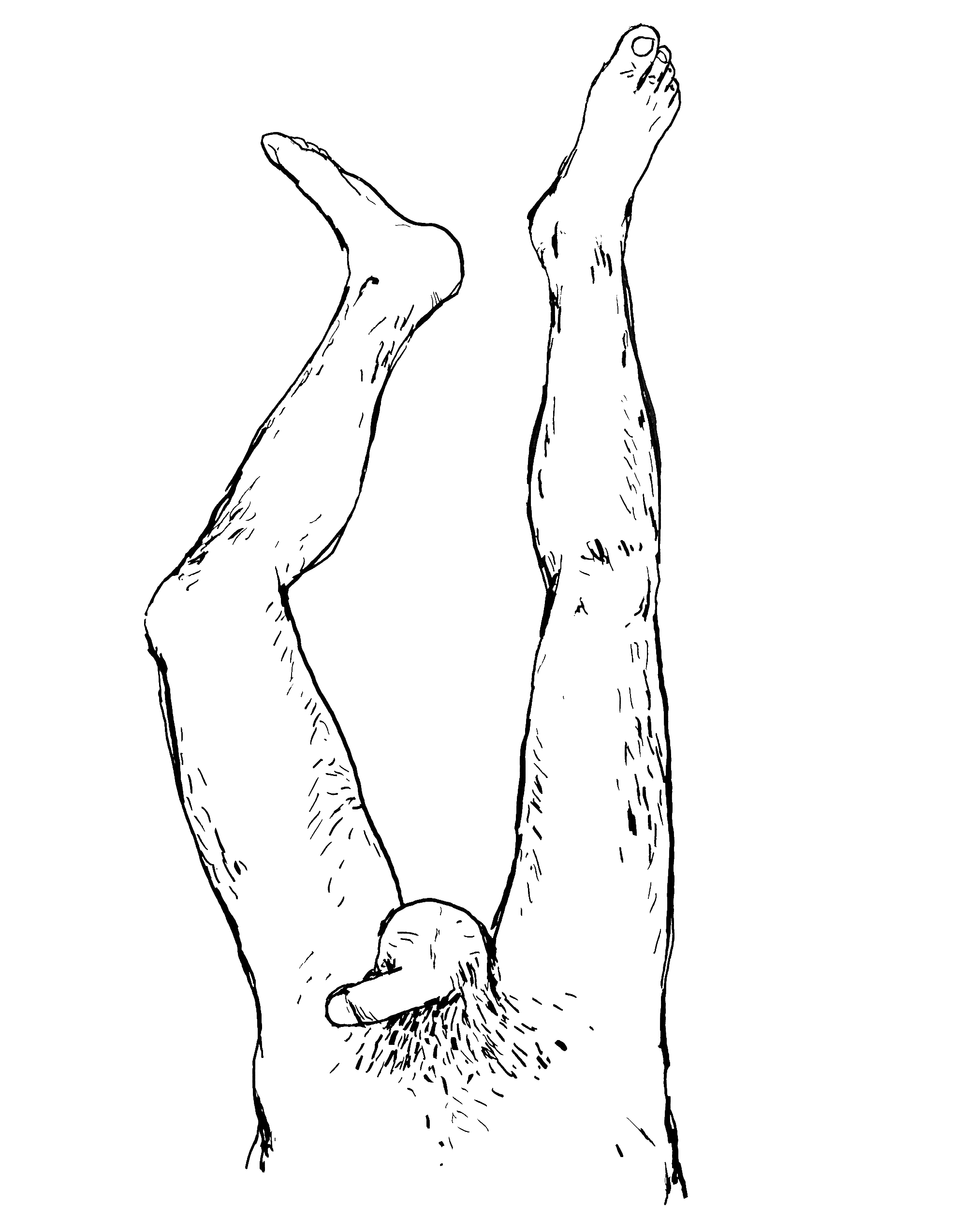 HOLISTIC-DIPTYCH-BOTTOM-(MILO)_00.gif
