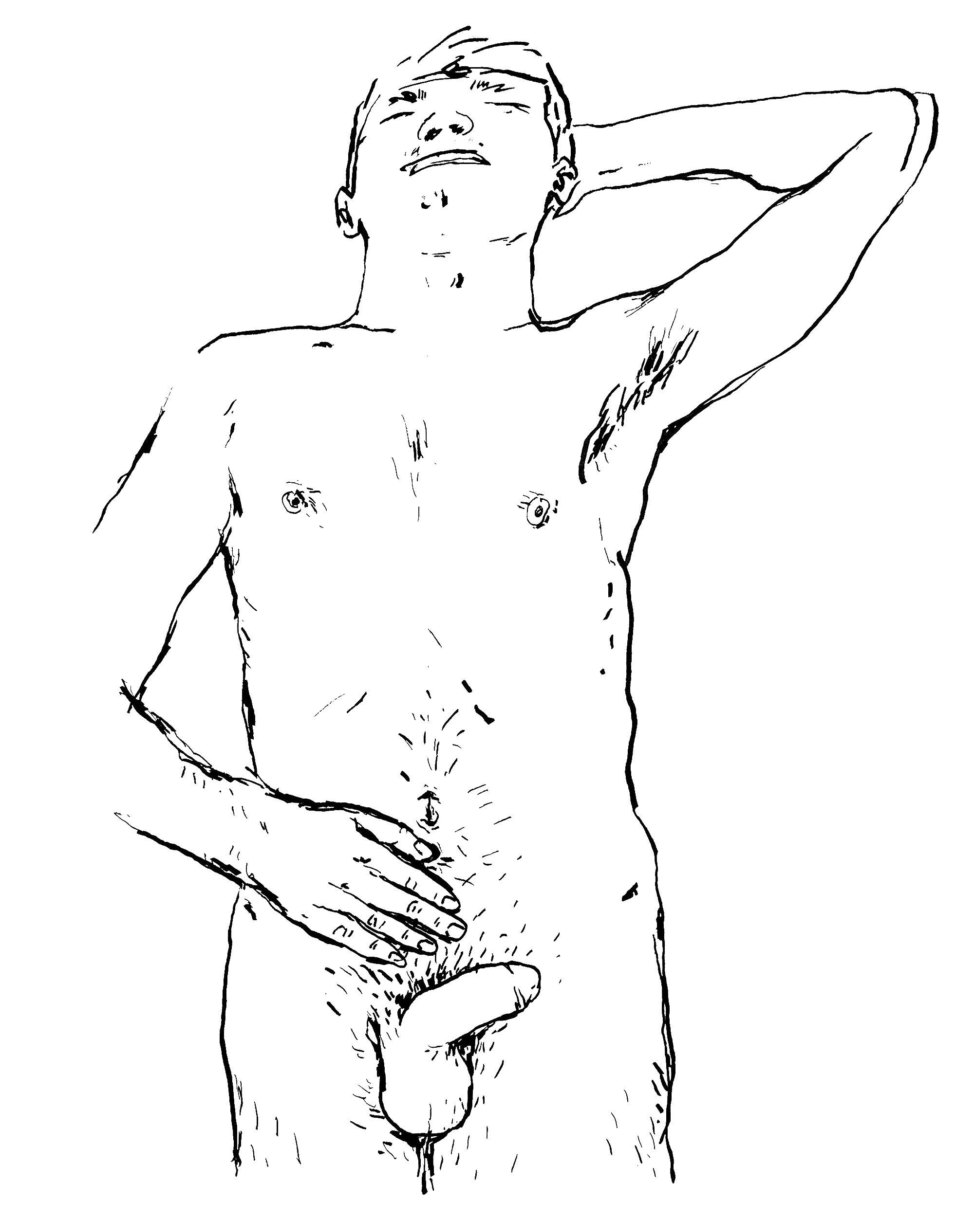 HOLISTIC-DIPTYCH-TOP-(MILO)_00.gif