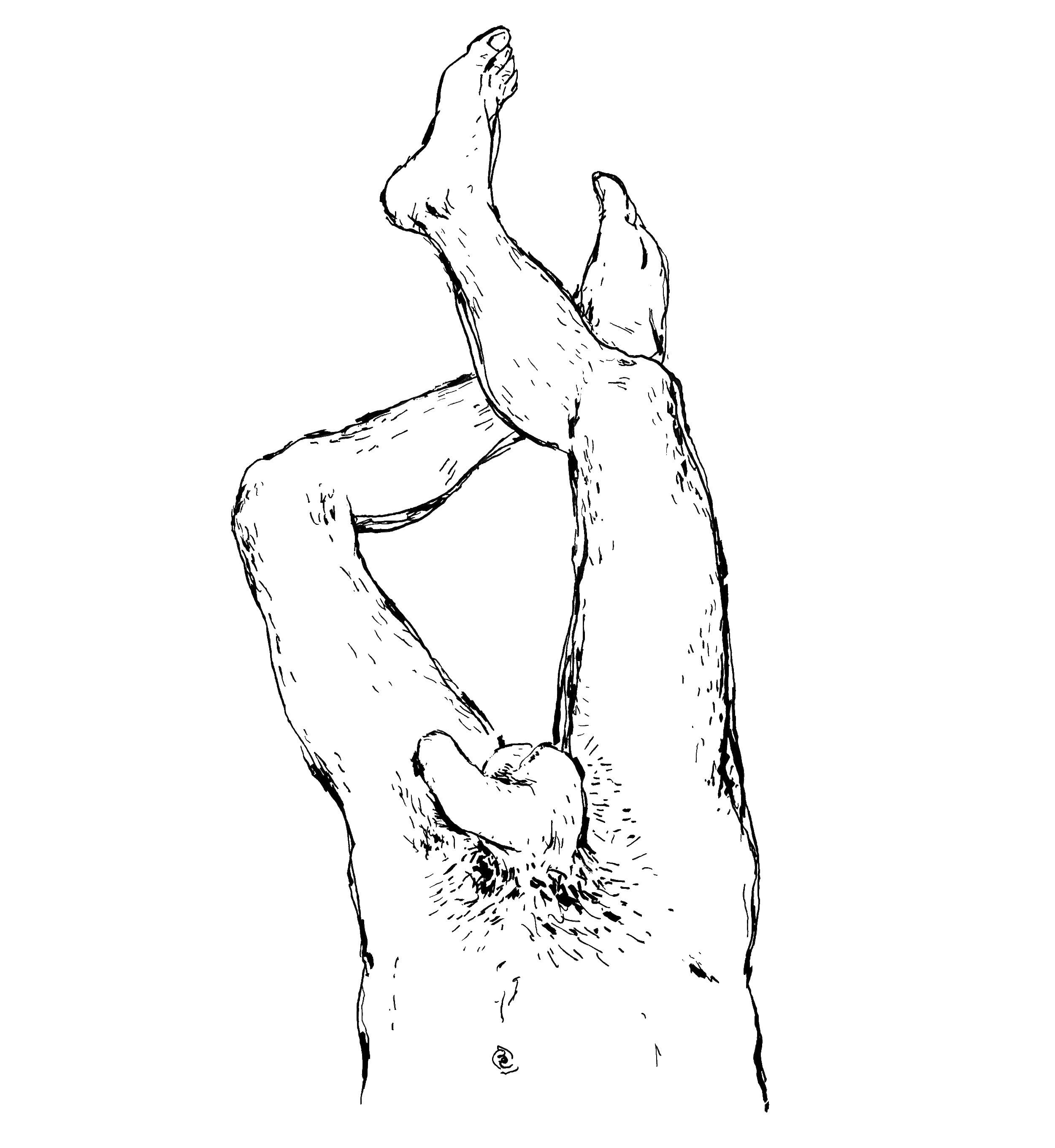 HOLISTIC-DIPTYCH-BOTTOM-(LUKAS)_00.gif