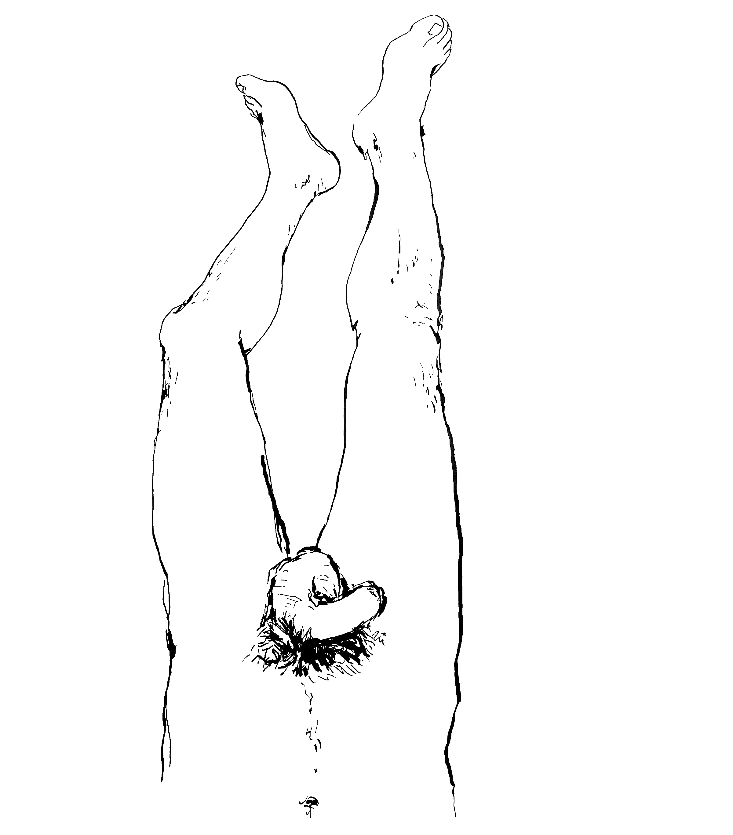 HOLISTIC-DIPTYCH-BOTTOM-(KYLE)_00.gif