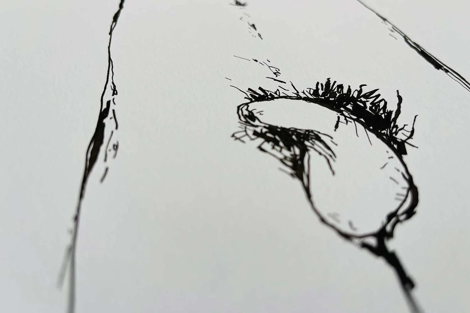 HOLISTIC-DIPTYCH-TOP-(KYLE)_07.jpg