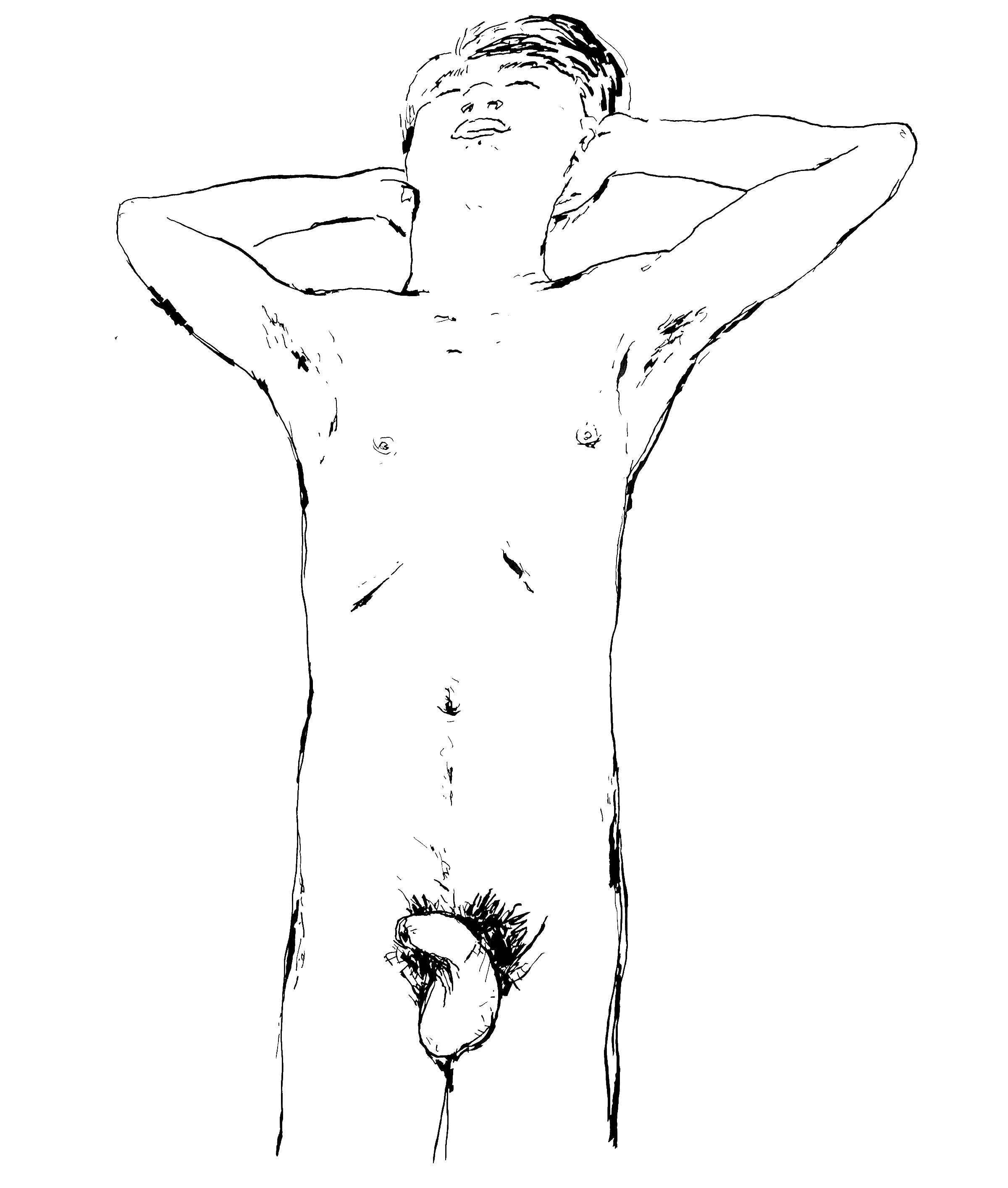 HOLISTIC-DIPTYCH-TOP-(KYLE)_00.gif