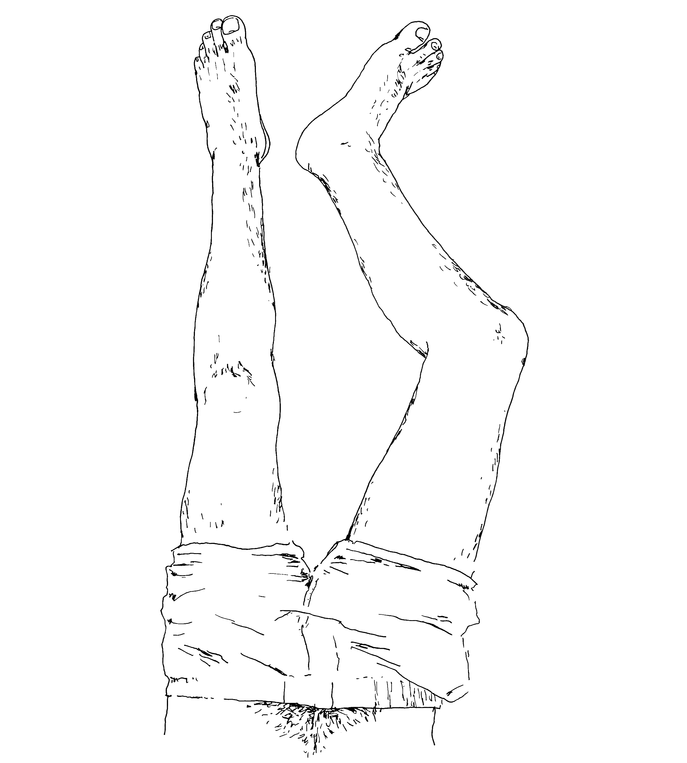 HOLISTIC-DIPTYCH-BOTTOM-(TODD)_00.gif