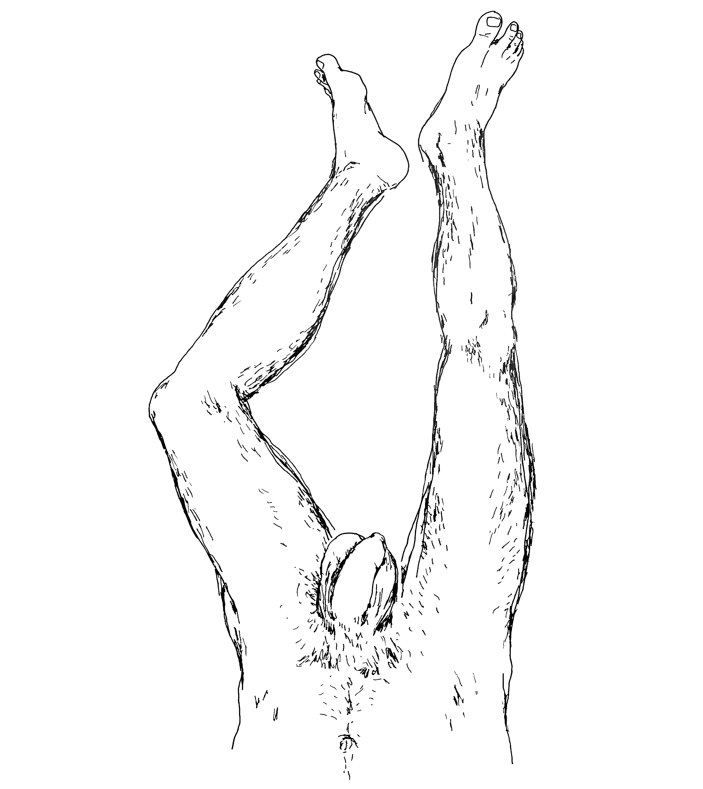 HOLISTIC-DIPTYCH-BOTTOM-(HAROLD)_00.gif