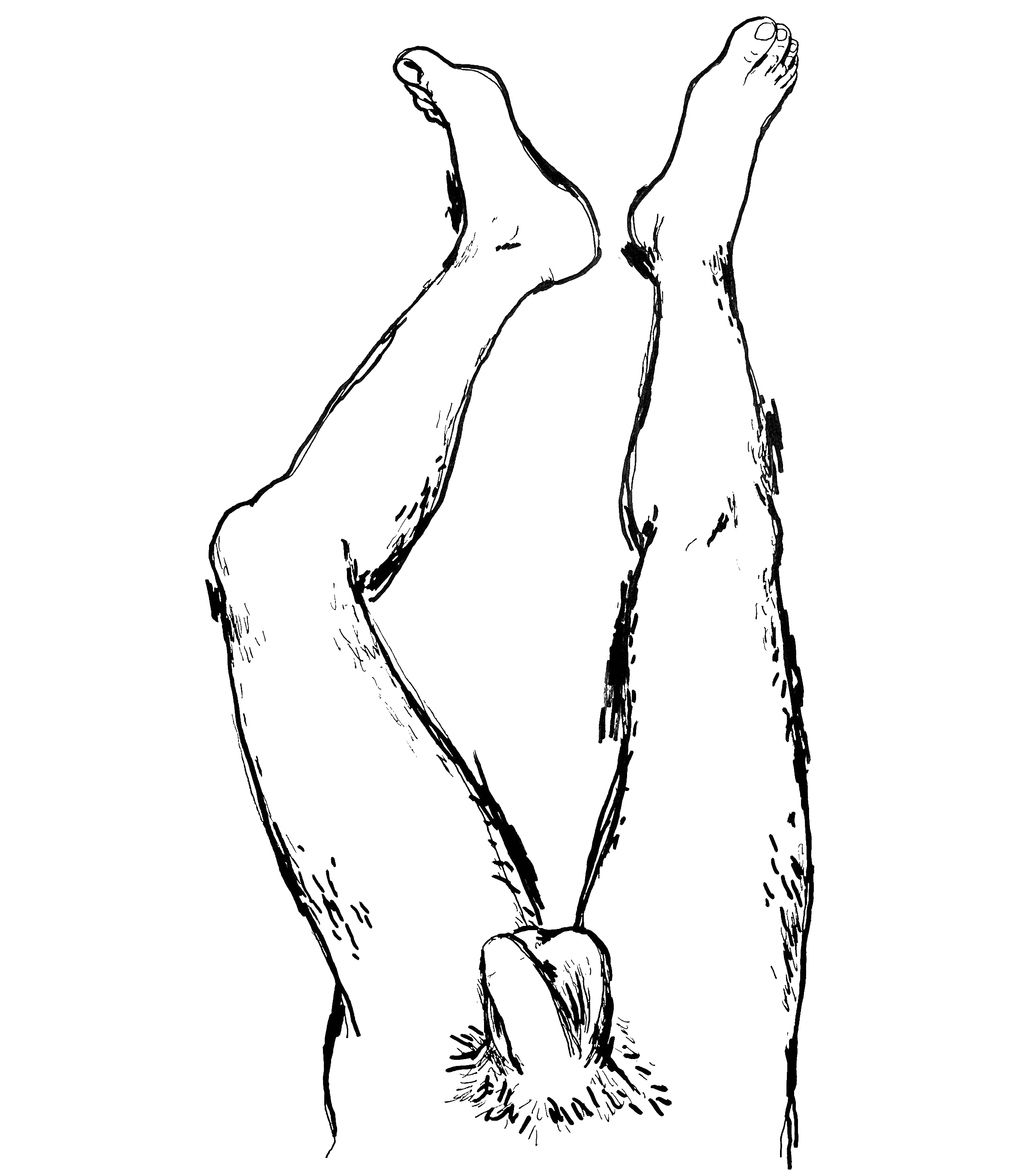 HOLISTIC-DIPTYCH-BOTTOM-(ADEN)_00.gif