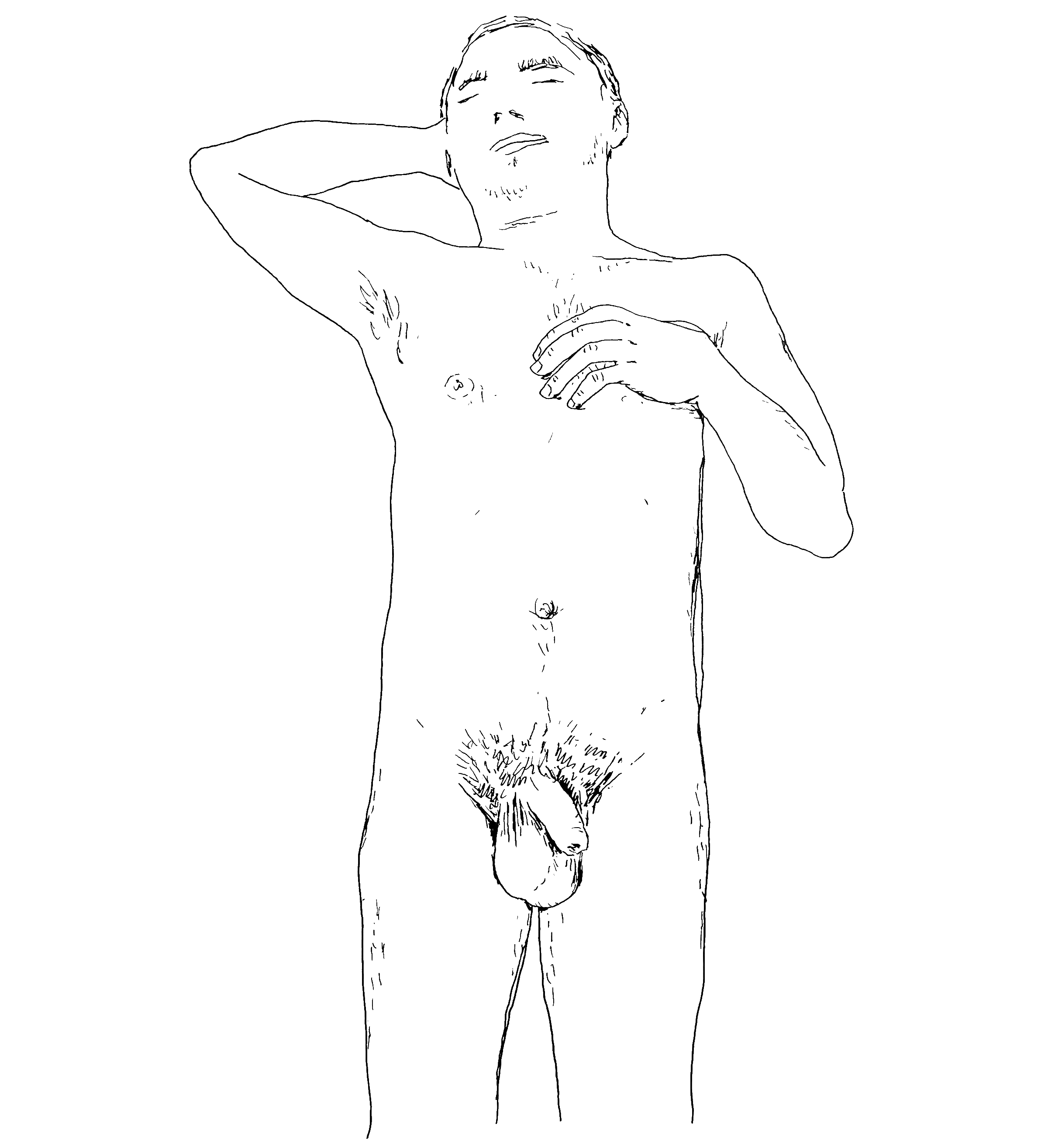 HOLISTIC-DIPTYCH-TOP-(STUART)_00.gif