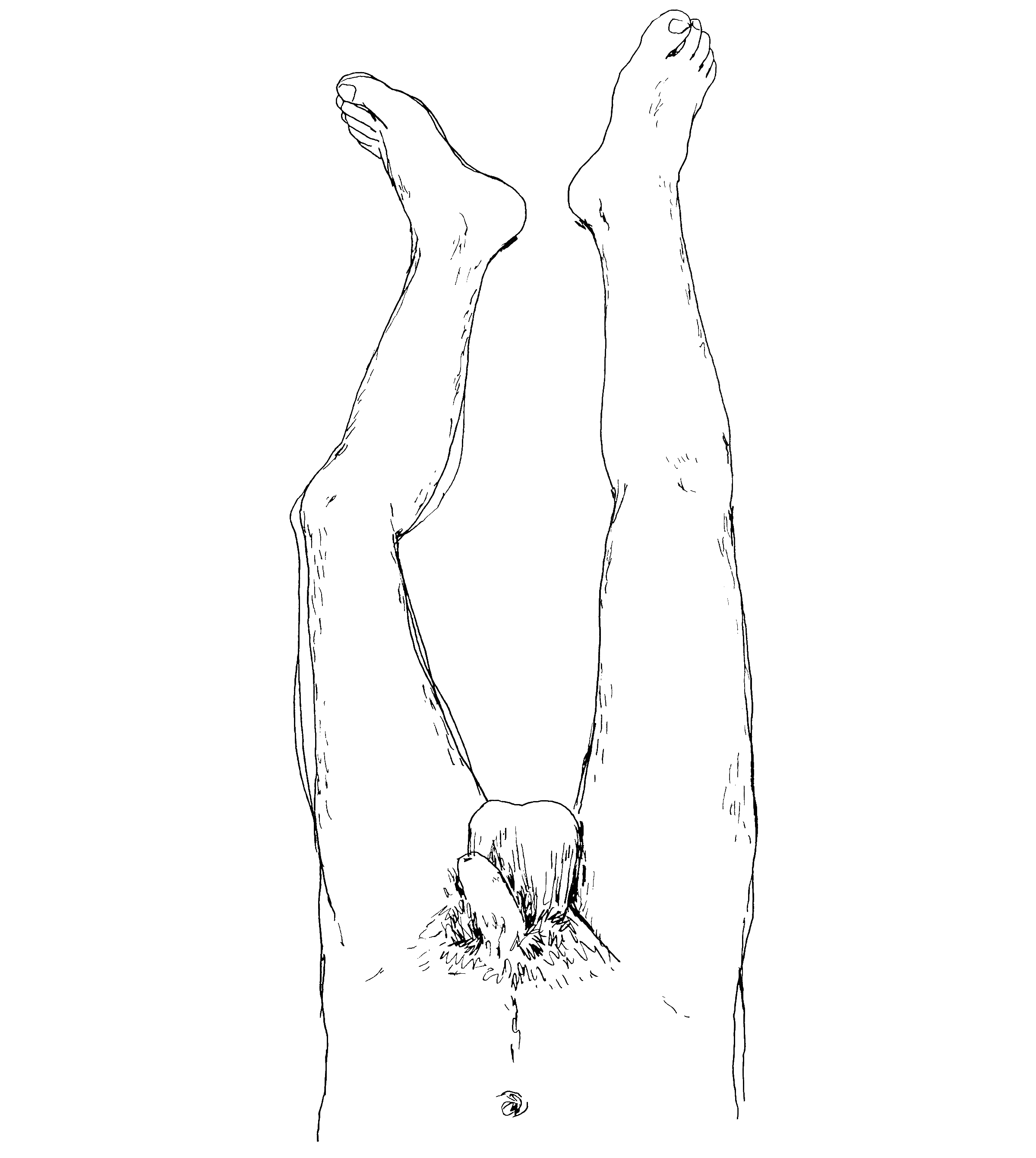 HOLISTIC-DIPTYCH-BOTTOM-(STUART)_00.gif
