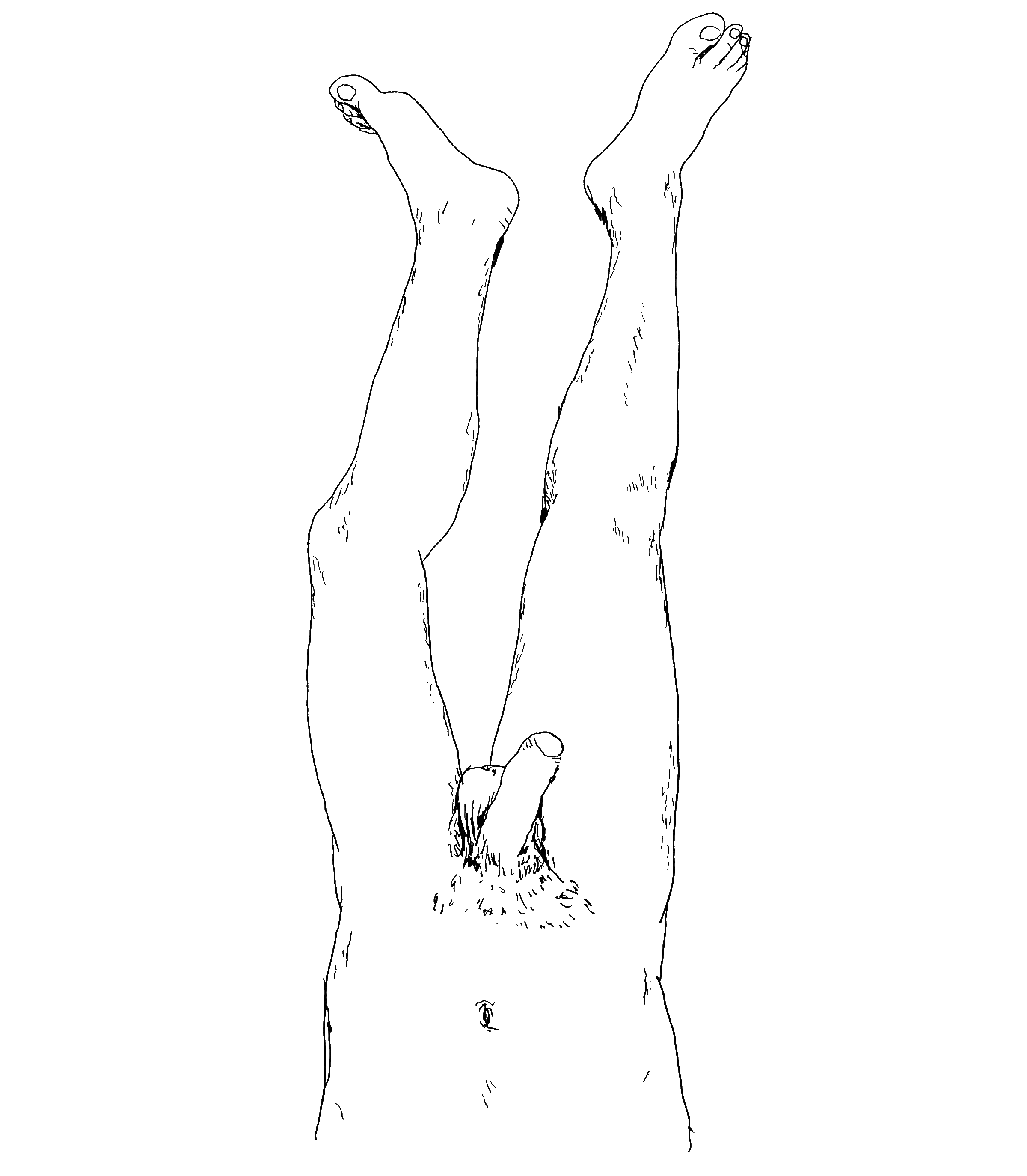 HOLISTIC-DIPTYCH-BOTTOM-(SETH)_00.gif