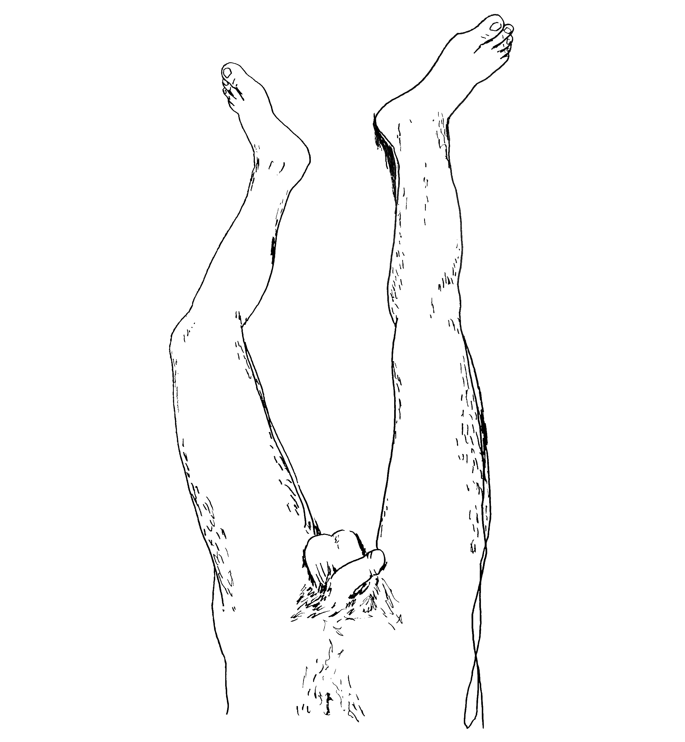 HOLISTIC-DIPTYCH-BOTTOM-(RUBEN)_00.gif