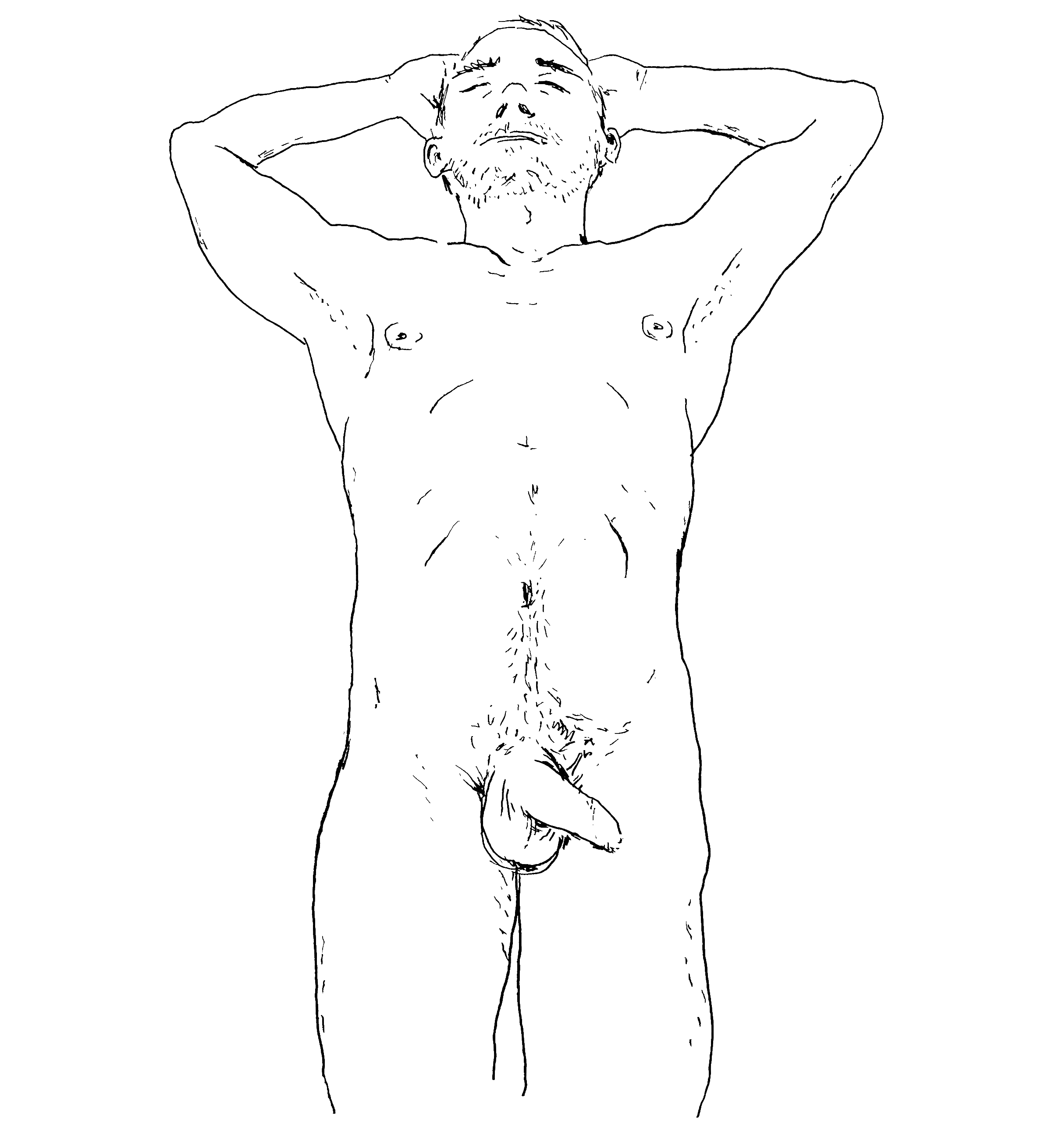 HOLISTIC-DIPTYCH-TOP-(DENNIS)_00.gif