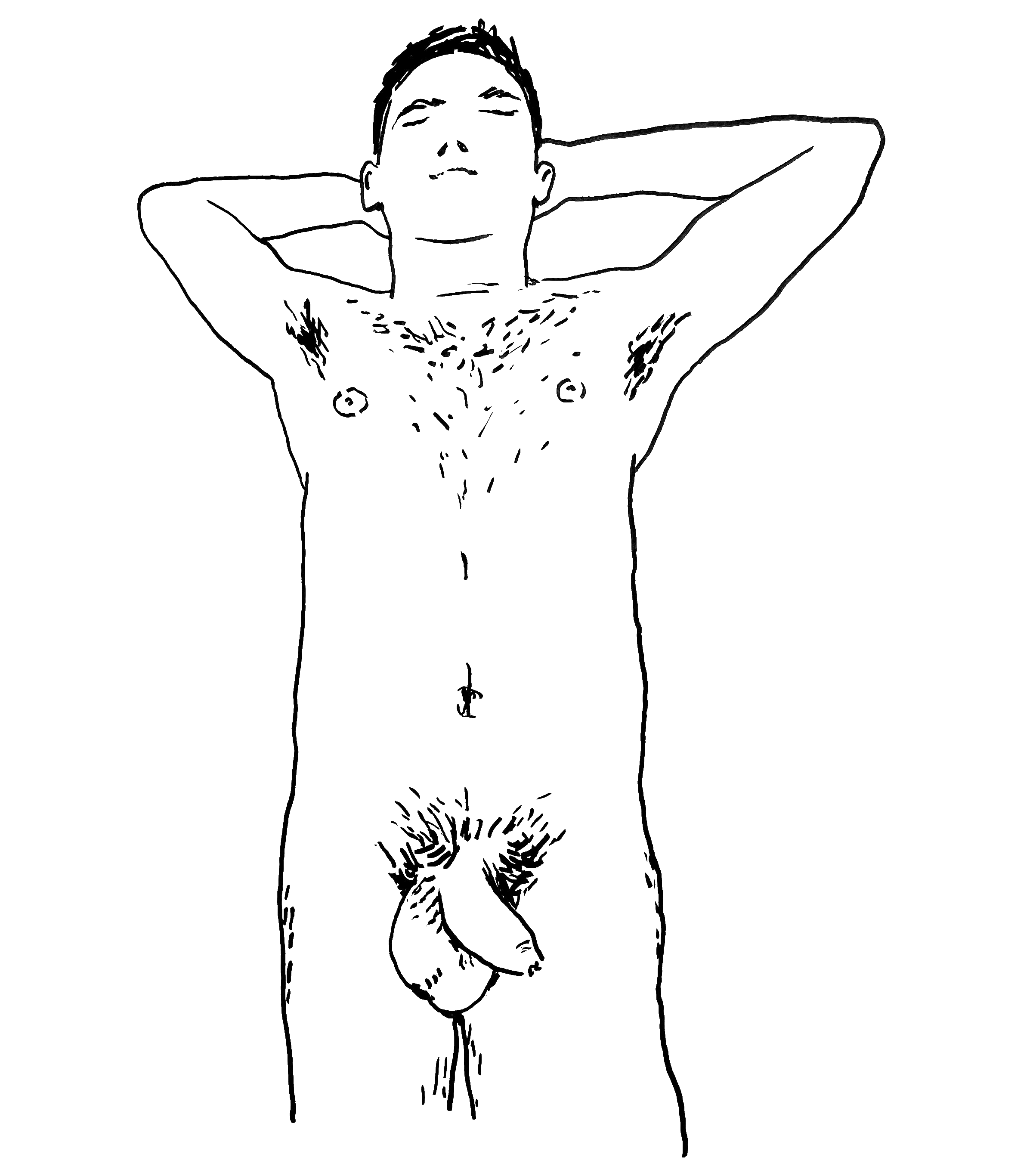 HOLISTIC-DIPTYCH-TOP-(CURTIS)_00.gif