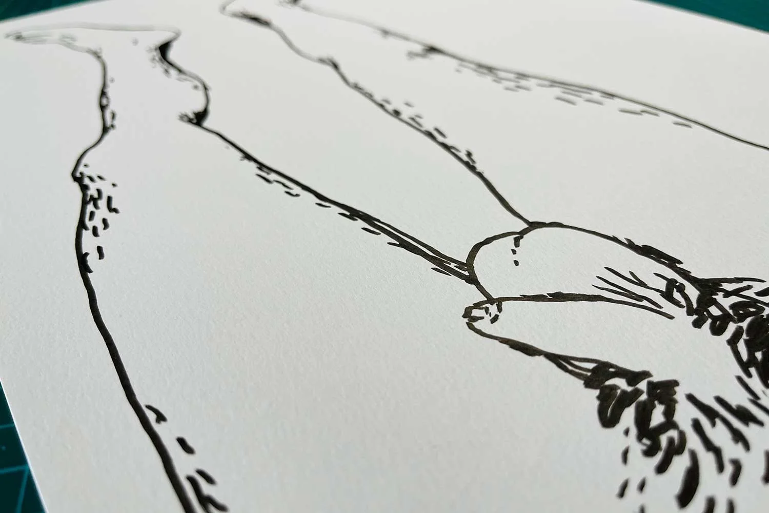 HOLISTIC-DIPTYCH-BOTTOM-(CURTIS)_07.jpg
