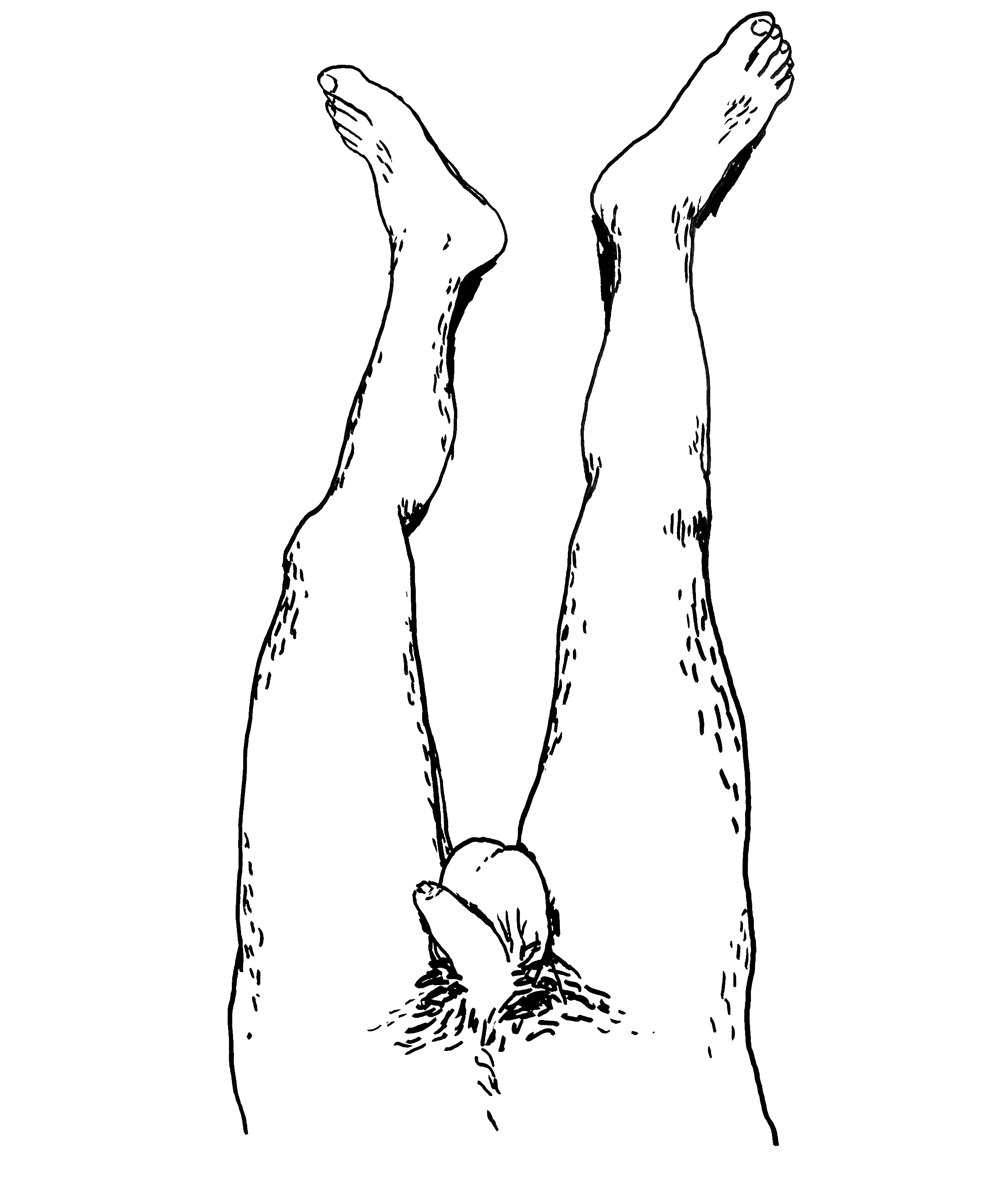 HOLISTIC-DIPTYCH-BOTTOM-(CURTIS)_00.gif