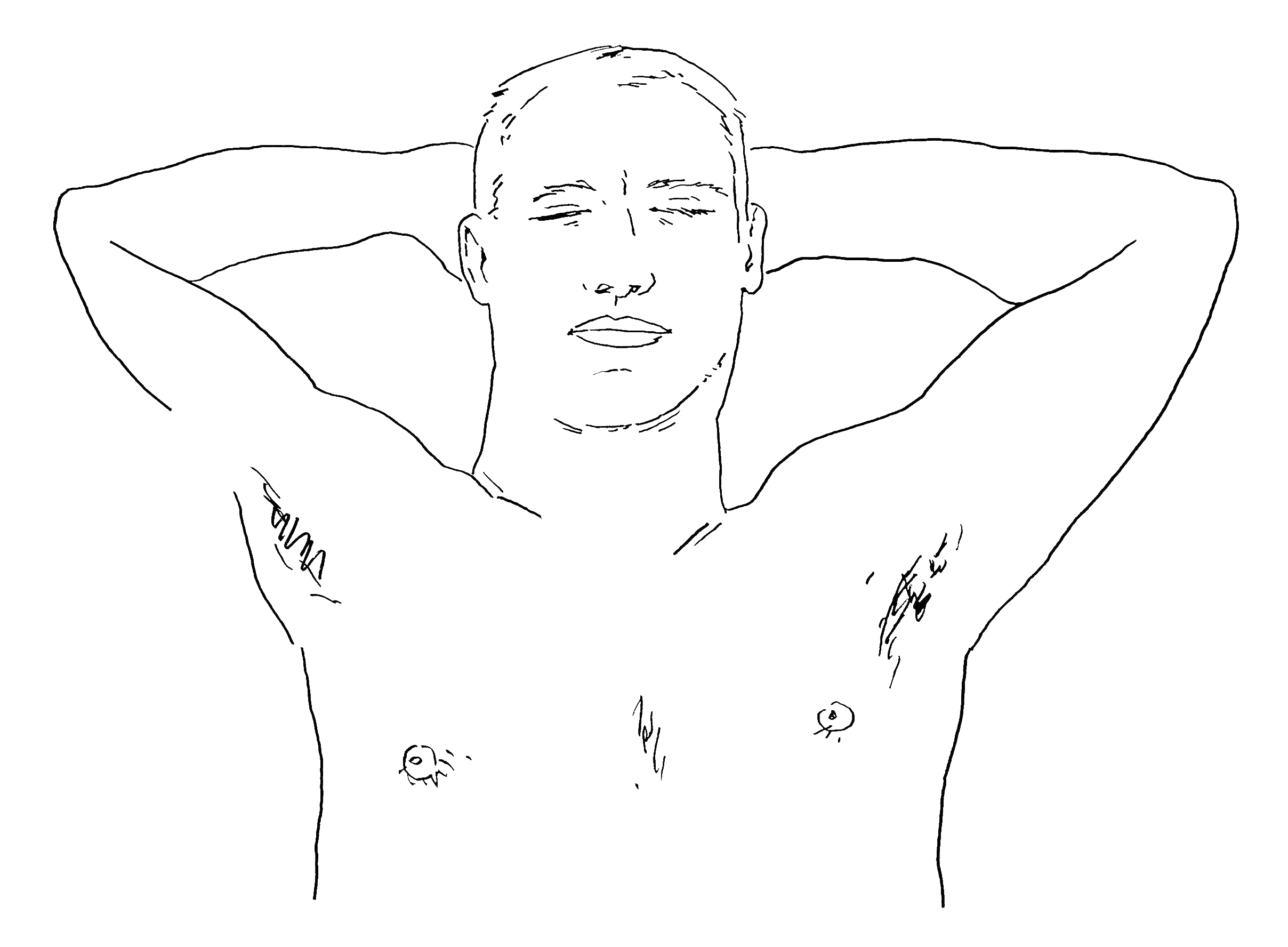 HOLISTIC-DIPTYCH-TOP-(JIM)_00.gif
