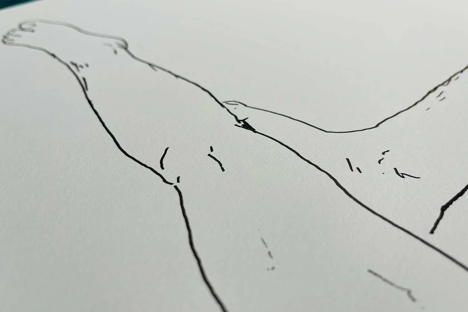 HOLISTIC-DIPTYCH-BOTTOM-(JIM)_07.jpg