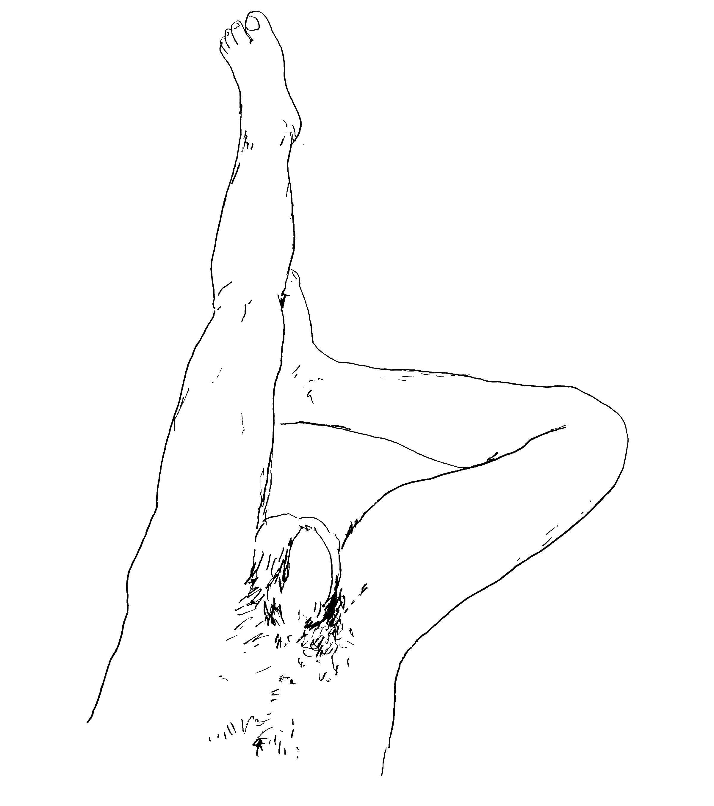 HOLISTIC-DIPTYCH-BOTTOM-(JIM)_00.gif